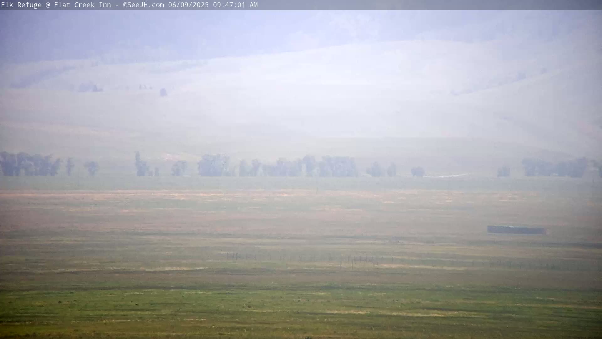 A hazy, flat landscape with sparse vegetation and a few clusters of trees is visible under a smoky sky.