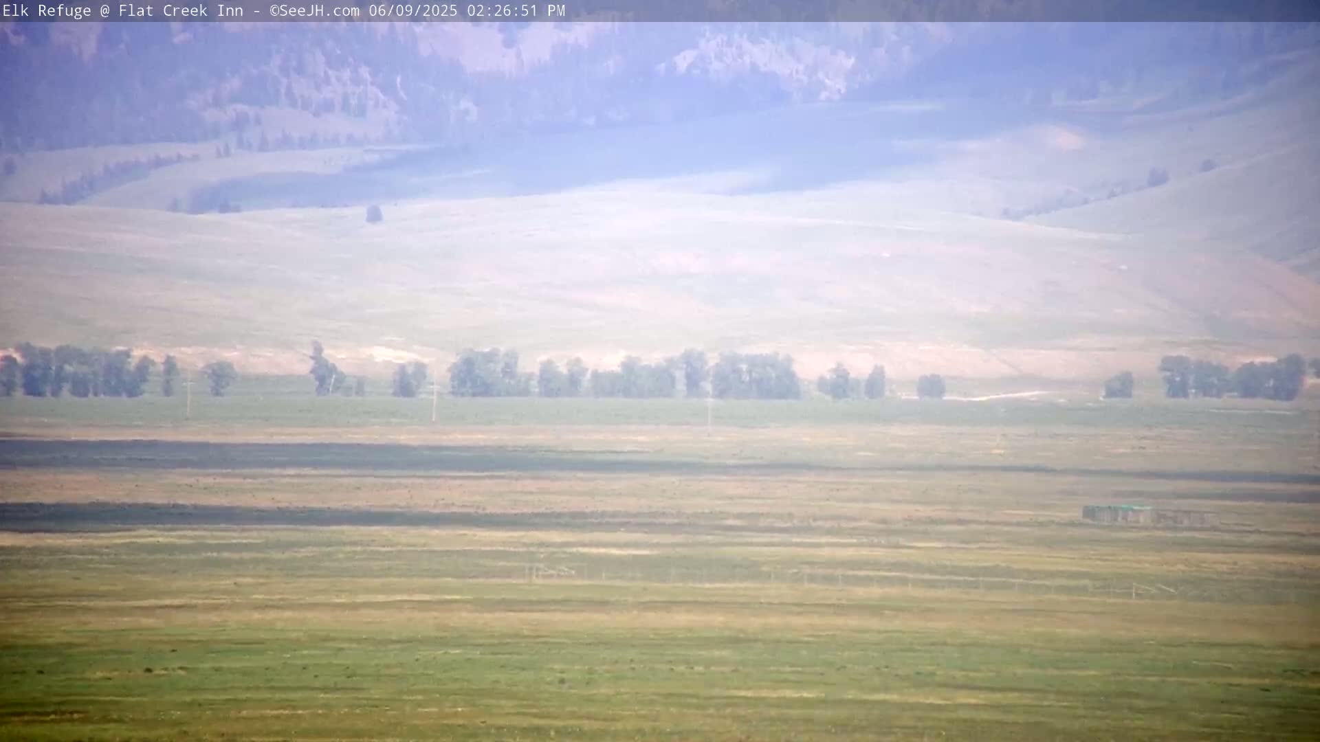 Jackson, Elk Refuge & Teton Mountains from Flat Creek Inn Live Cam - Jackson, Teton, Wyoming, USA