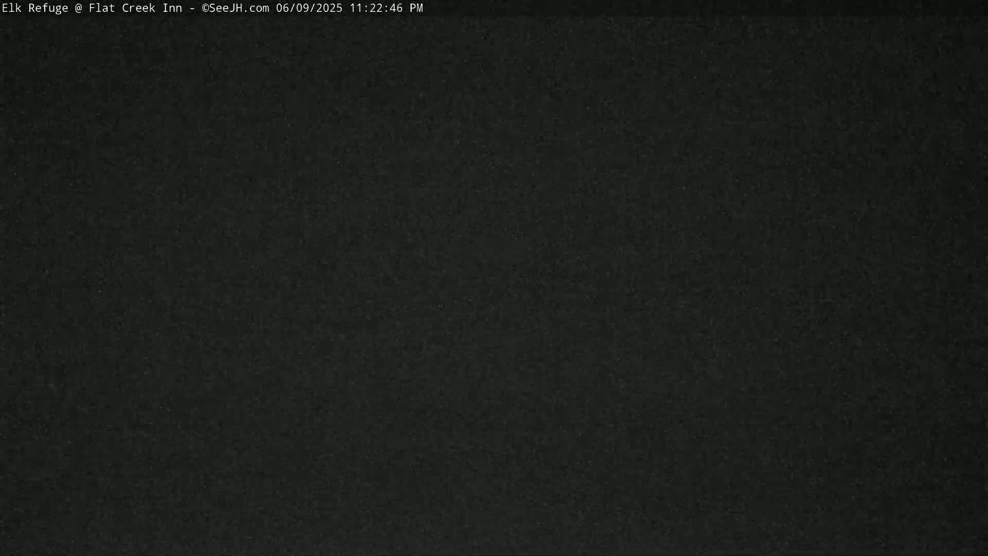 Jackson, Elk Refuge & Teton Mountains from Flat Creek Inn Live Cam - Jackson, Teton, Wyoming, USA