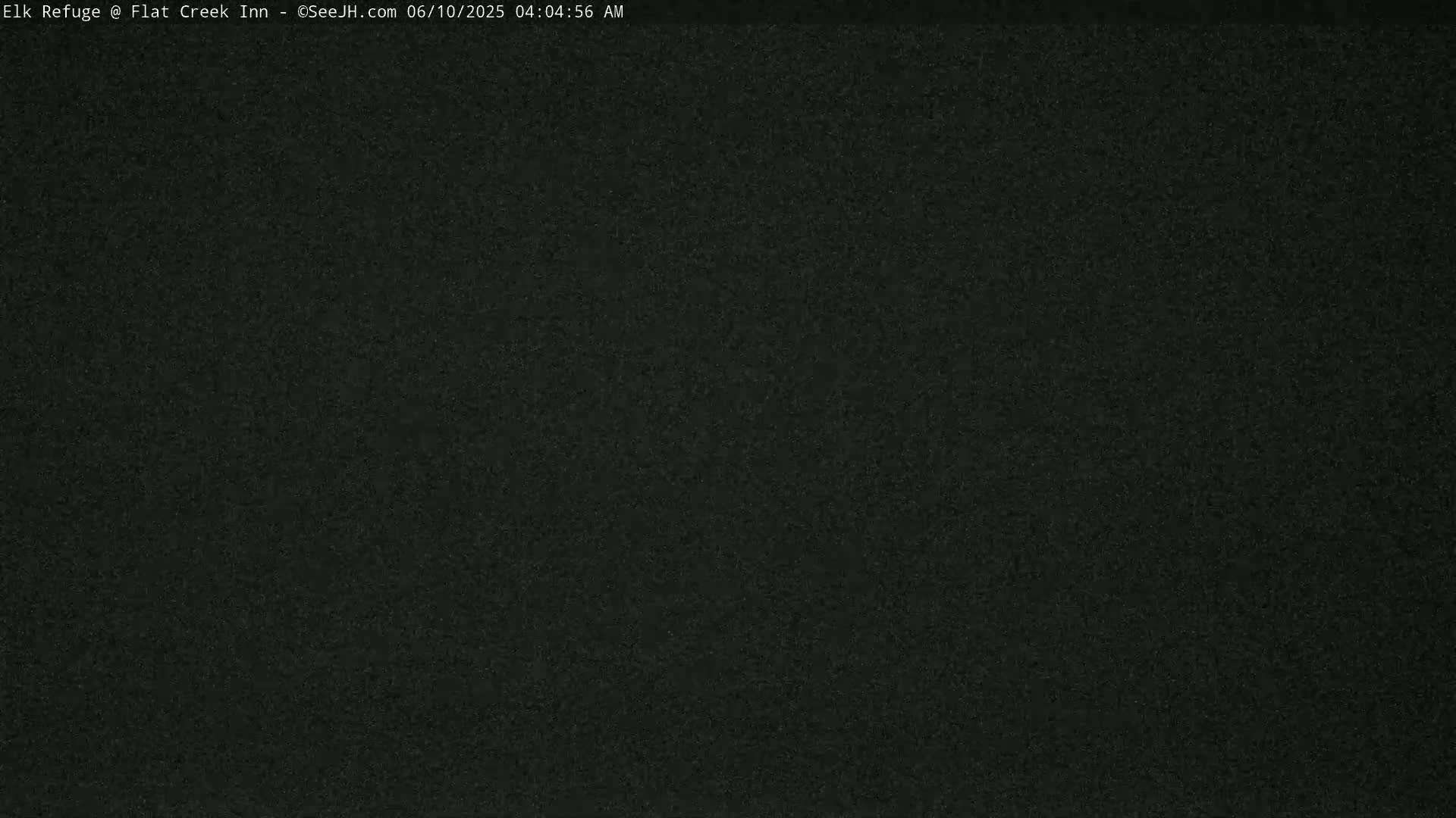 The image is a dark, grainy, black screen with no discernible features.