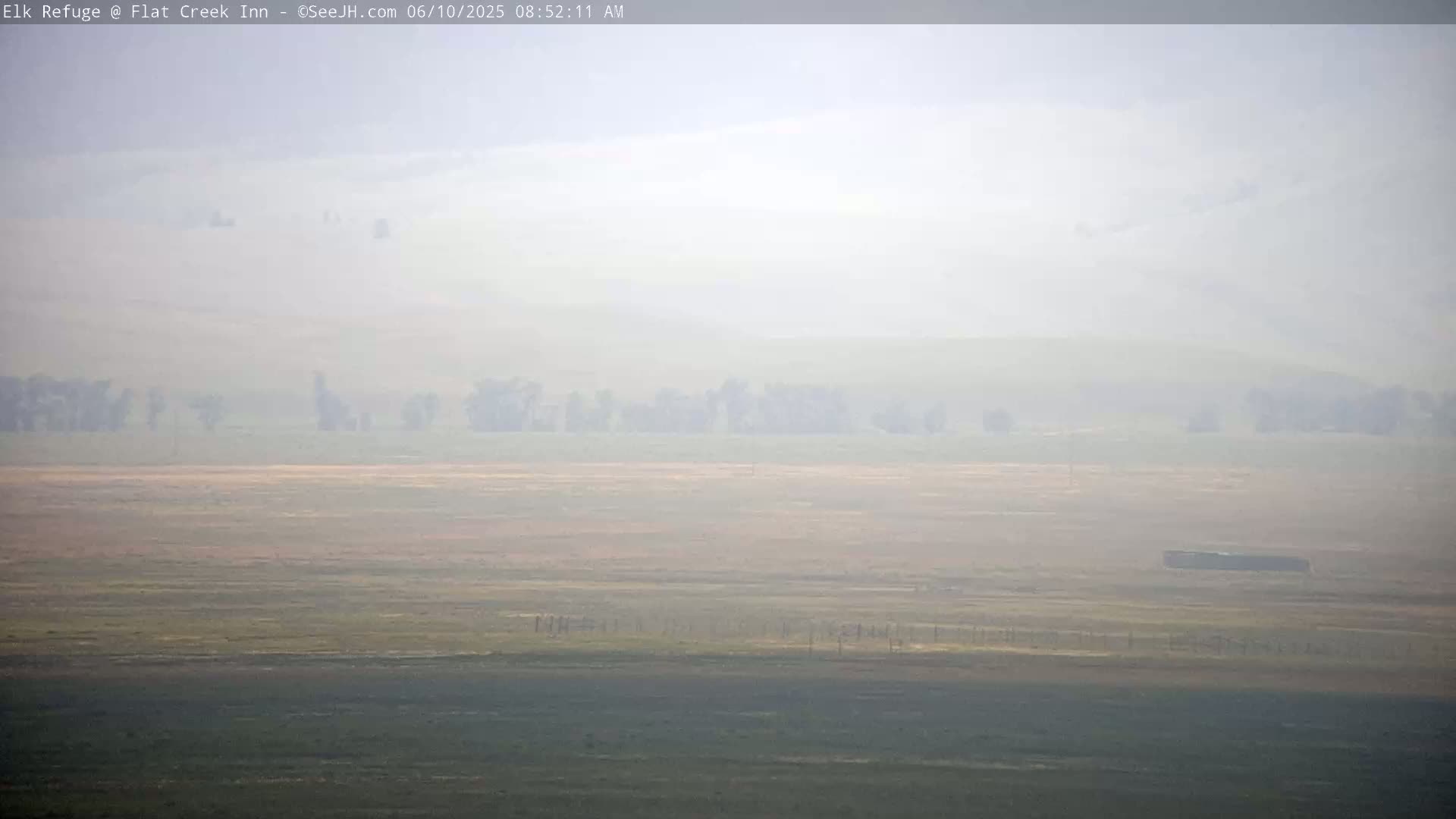 A hazy, flat landscape with a few scattered trees and a distant dark object is visible under a foggy sky.