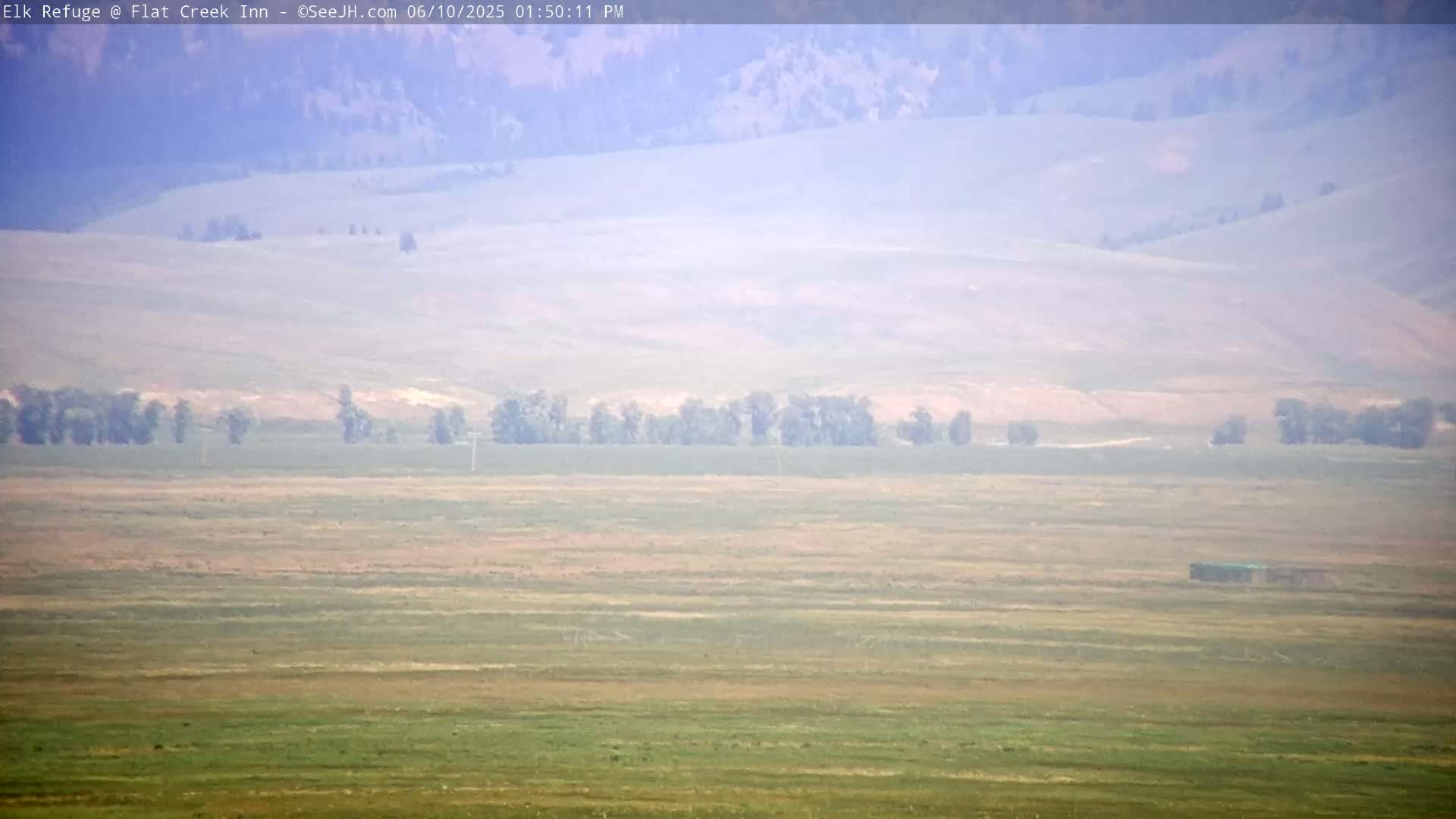 Jackson, Elk Refuge & Teton Mountains from Flat Creek Inn Live Cam - Jackson, Teton, Wyoming, USA