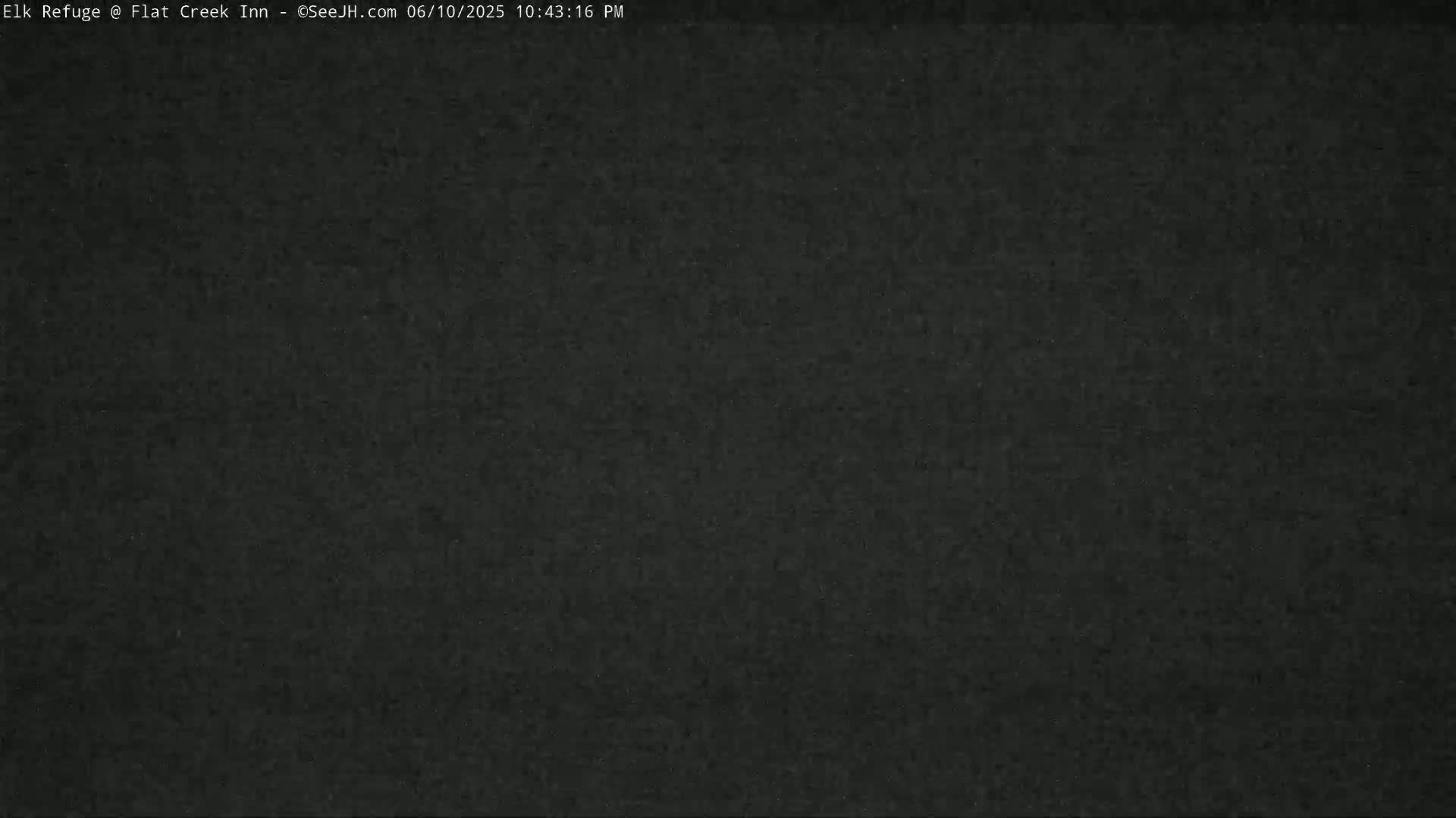 Jackson, Elk Refuge & Teton Mountains from Flat Creek Inn Live Cam - Jackson, Teton, Wyoming, USA