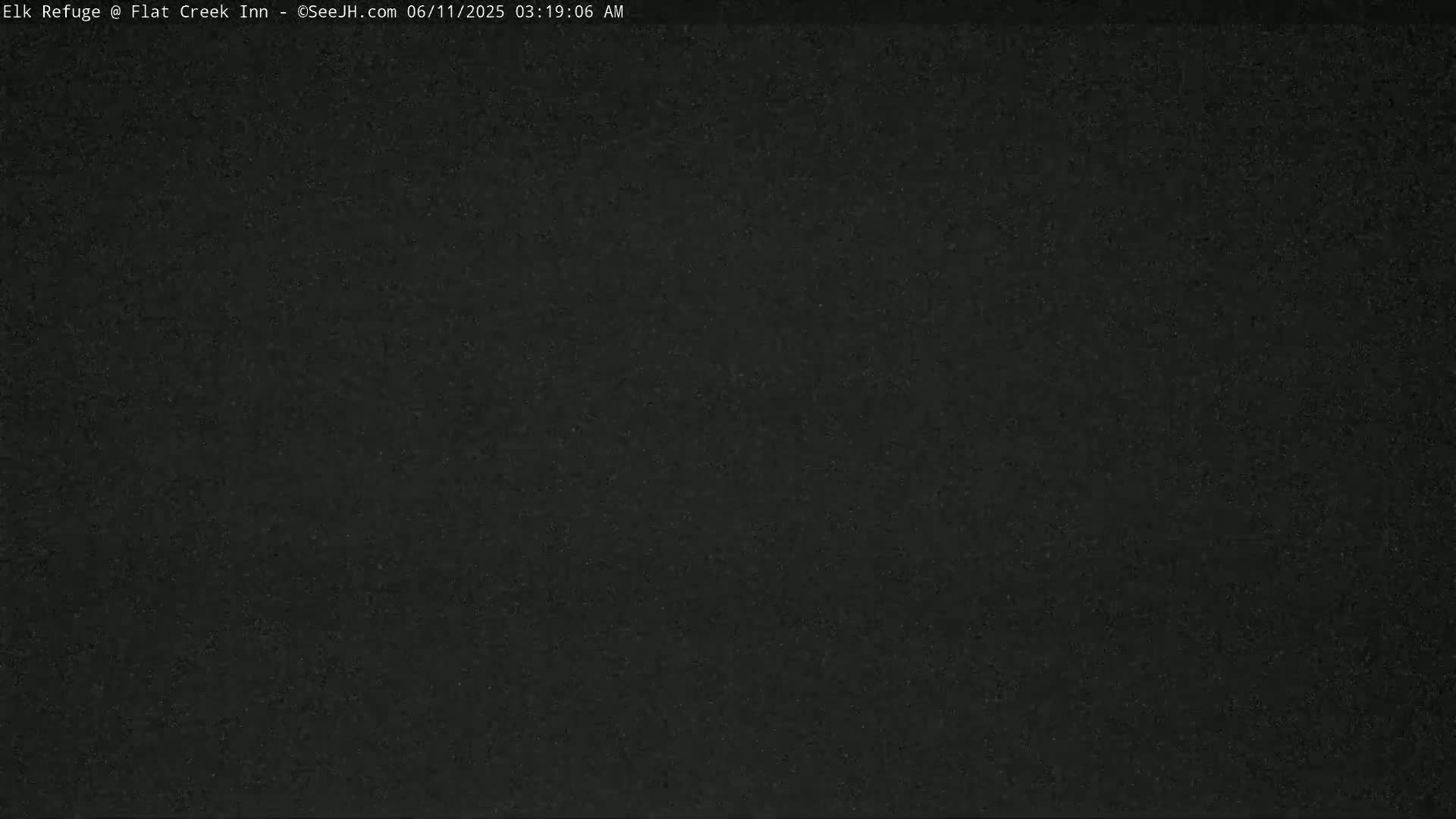 The image is a solid dark gray or black field with a slightly grainy texture.