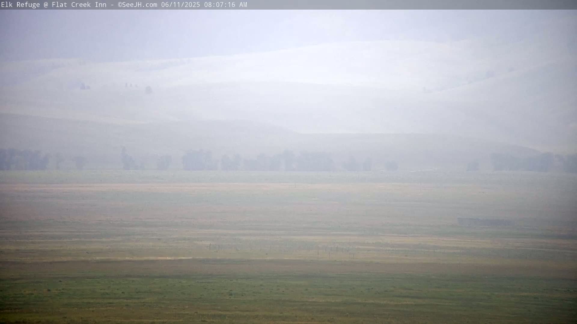A hazy, foggy landscape shows a flat expanse of fields and distant trees under a light sky.