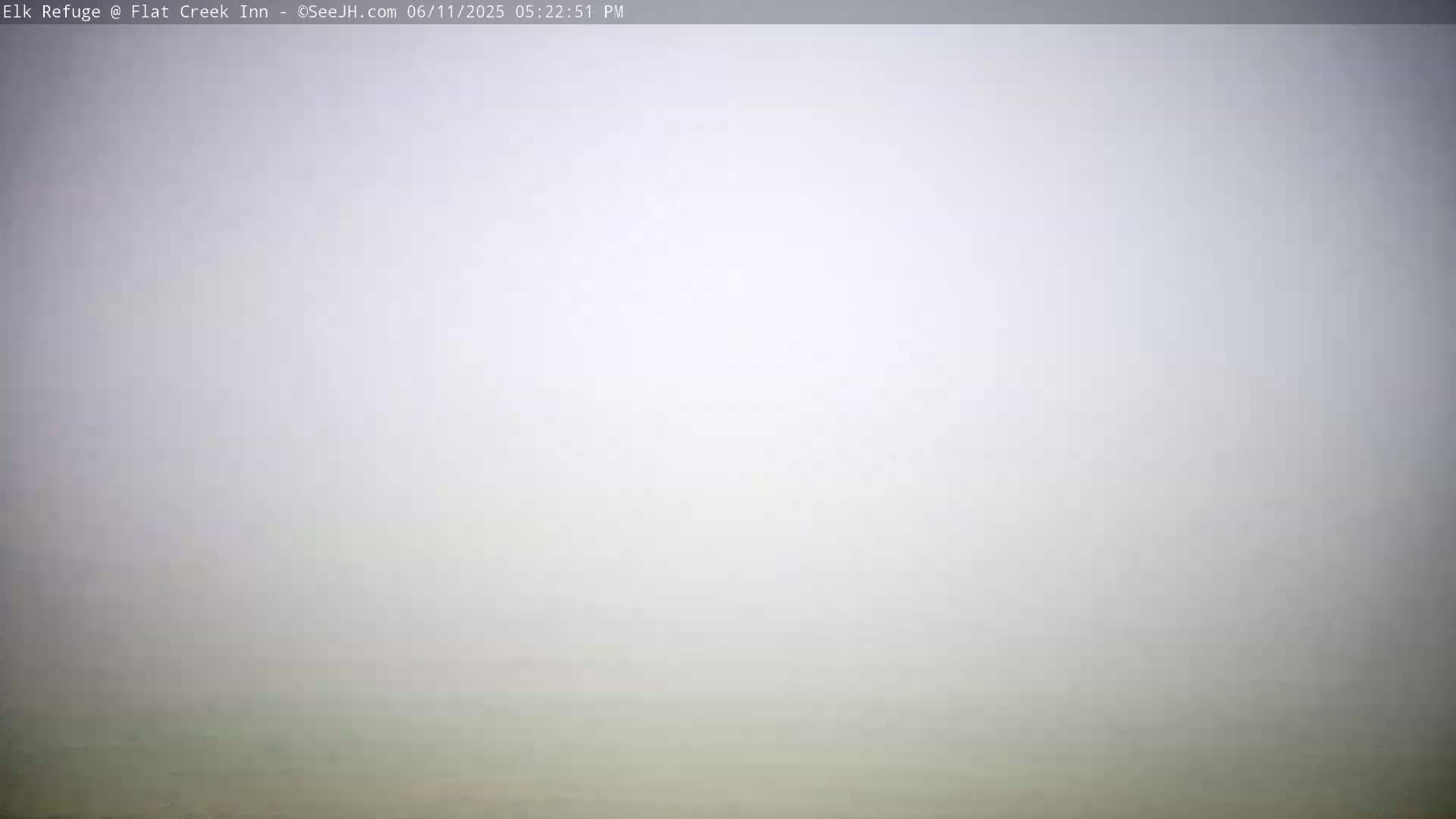 Jackson, Elk Refuge & Teton Mountains from Flat Creek Inn Live Cam - Jackson, Teton, Wyoming, USA