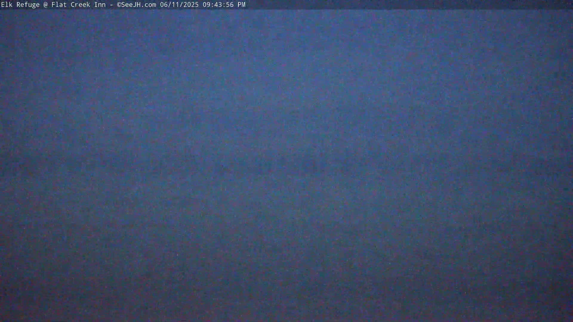 Jackson, Elk Refuge & Teton Mountains from Flat Creek Inn Live Cam - Jackson, Teton, Wyoming, USA