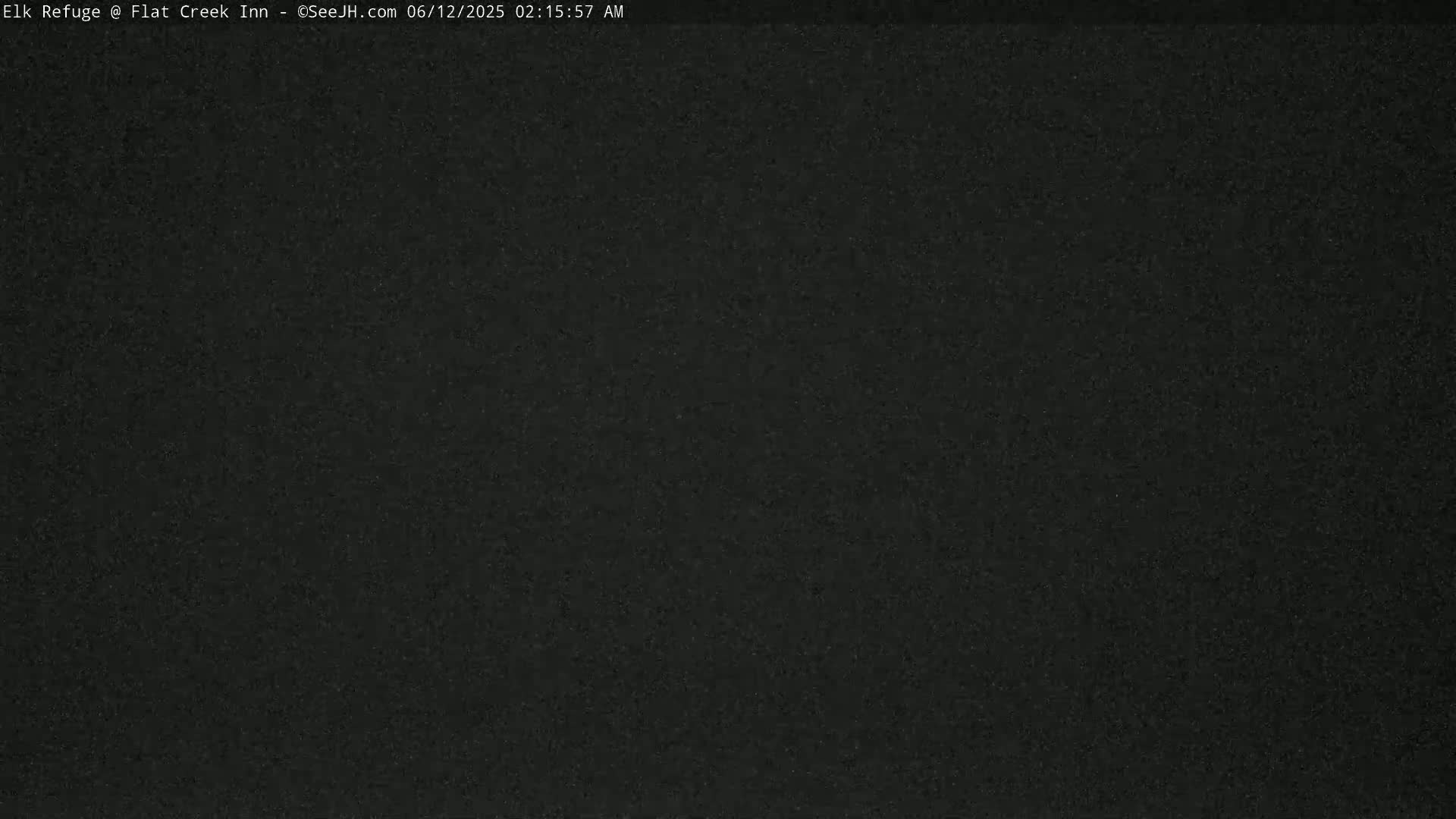 A dark, grainy image shows a uniformly black surface.