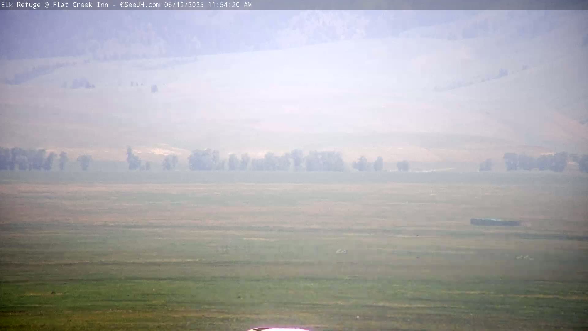 Jackson, Elk Refuge & Teton Mountains from Flat Creek Inn Live Cam - Jackson, Teton, Wyoming, USA