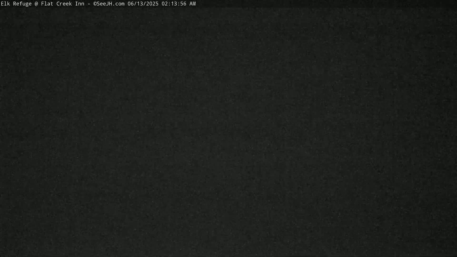 A dark, grainy image shows a completely black or very dark scene.