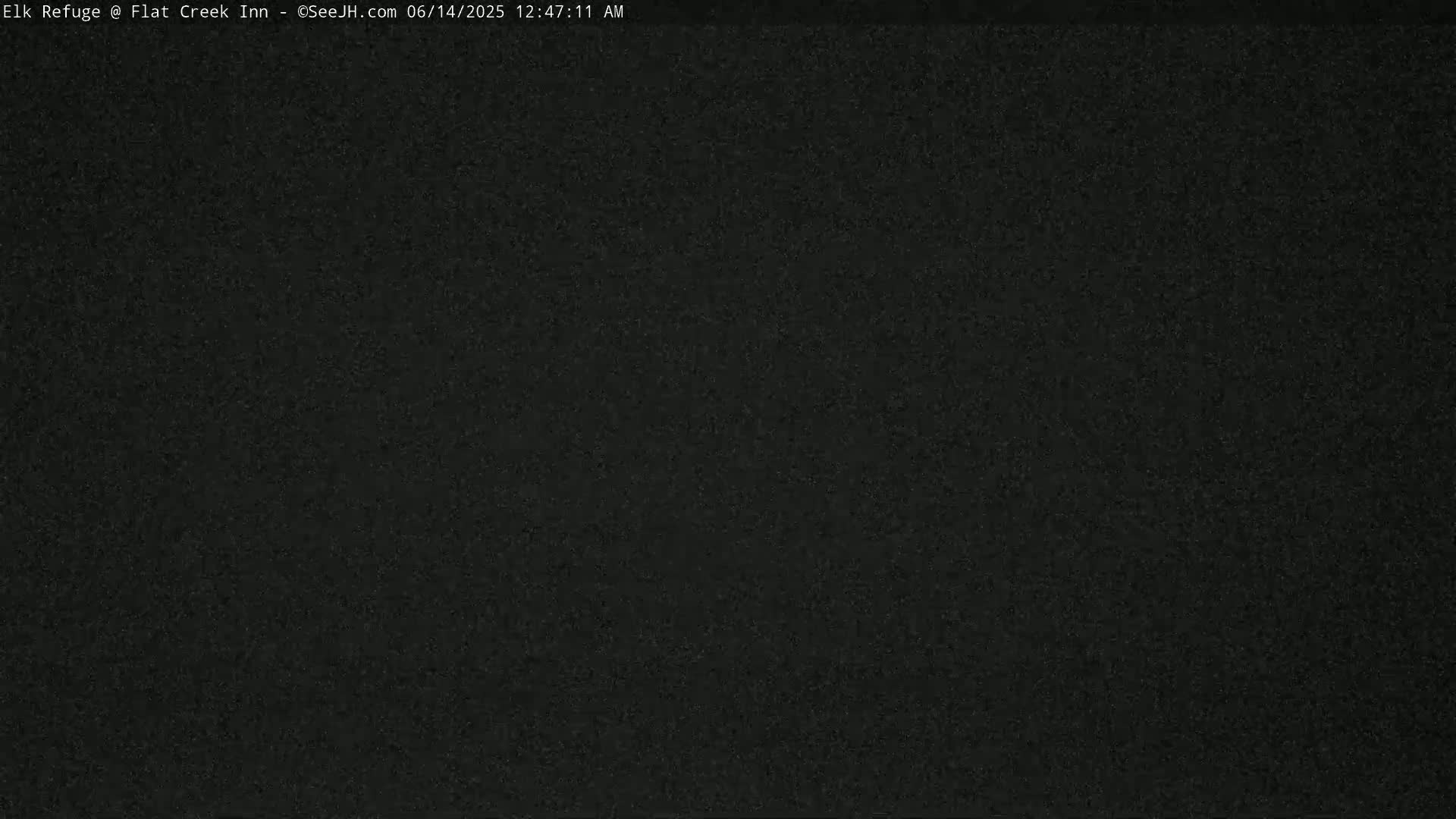 Jackson, Elk Refuge & Teton Mountains from Flat Creek Inn Live Cam - Jackson, Teton, Wyoming, USA