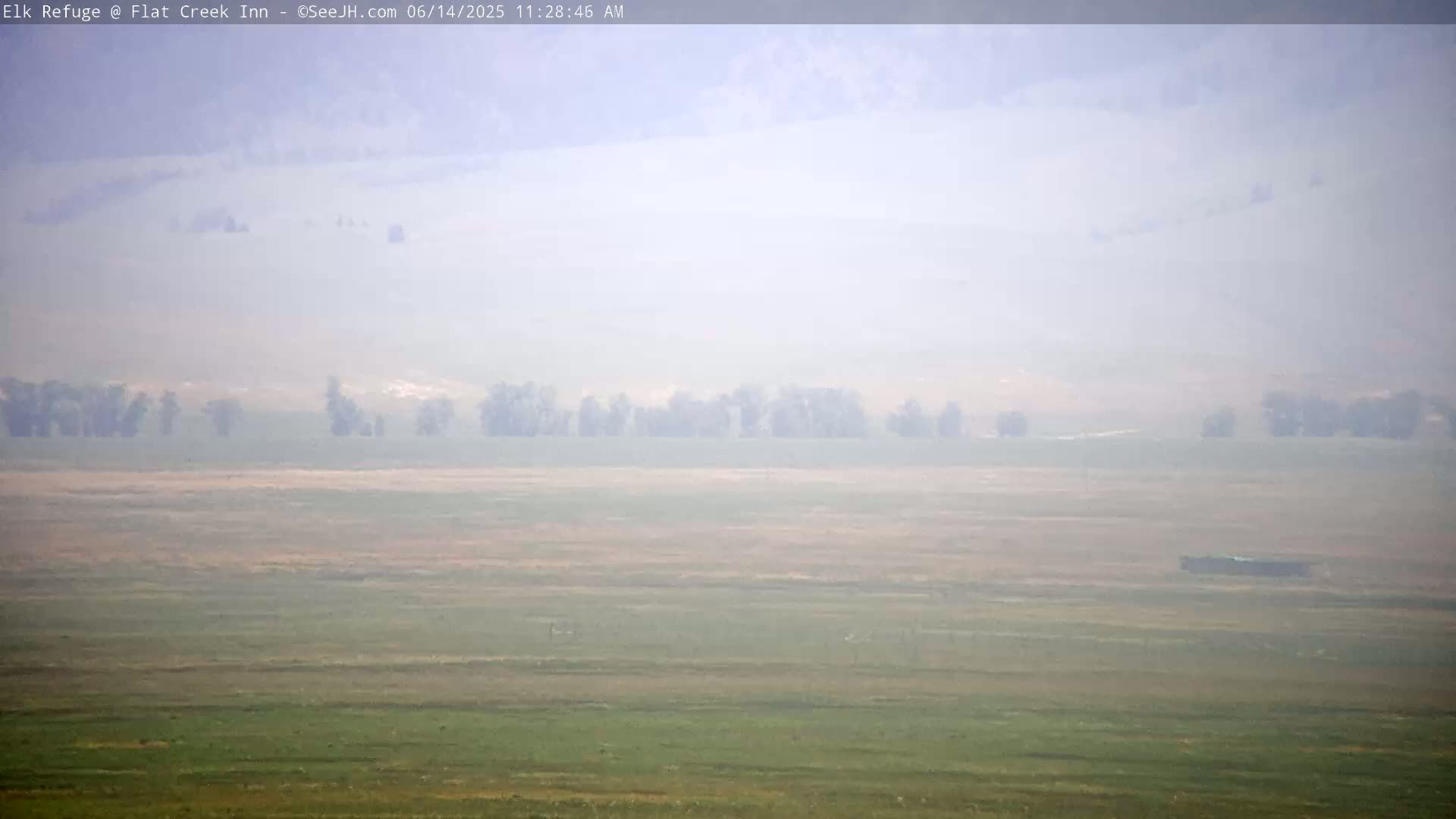 A hazy, flat landscape with scattered trees and a dark object in the mid-ground under a light, misty sky.