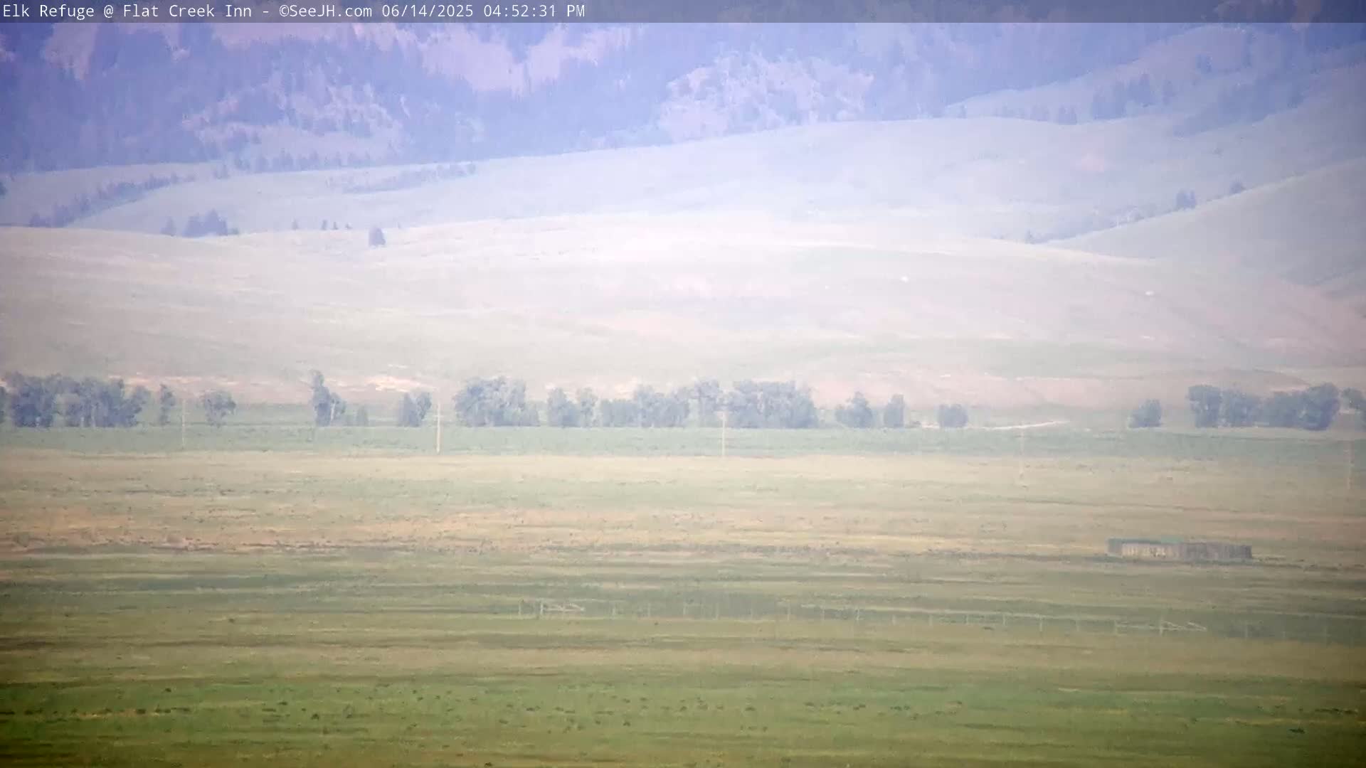 A hazy, flat landscape with scattered trees and a dark object in the mid-ground under a light, misty sky.