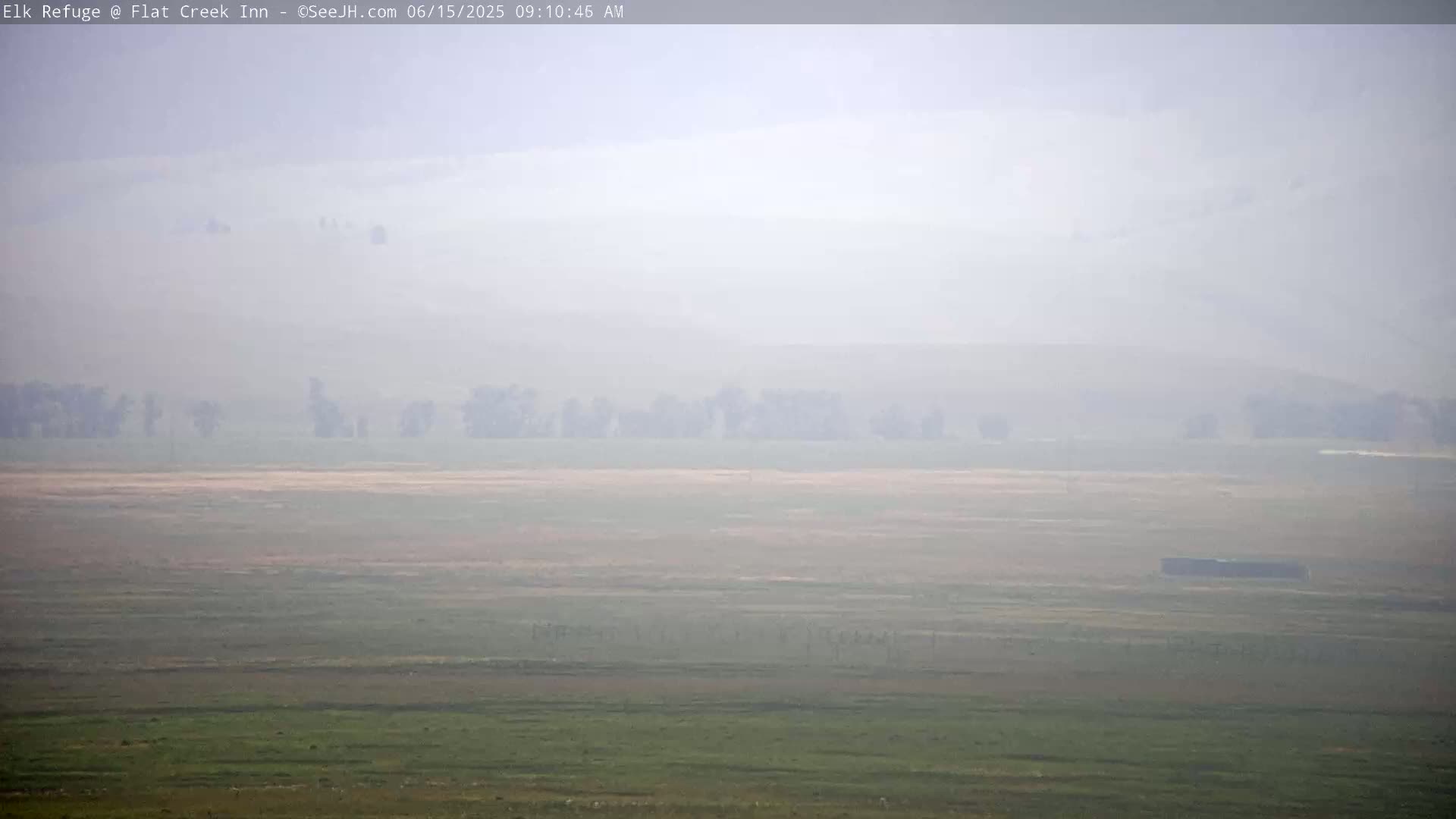 A hazy, flat landscape with sparse trees and fields stretches to a distant, indistinct horizon under a foggy sky.