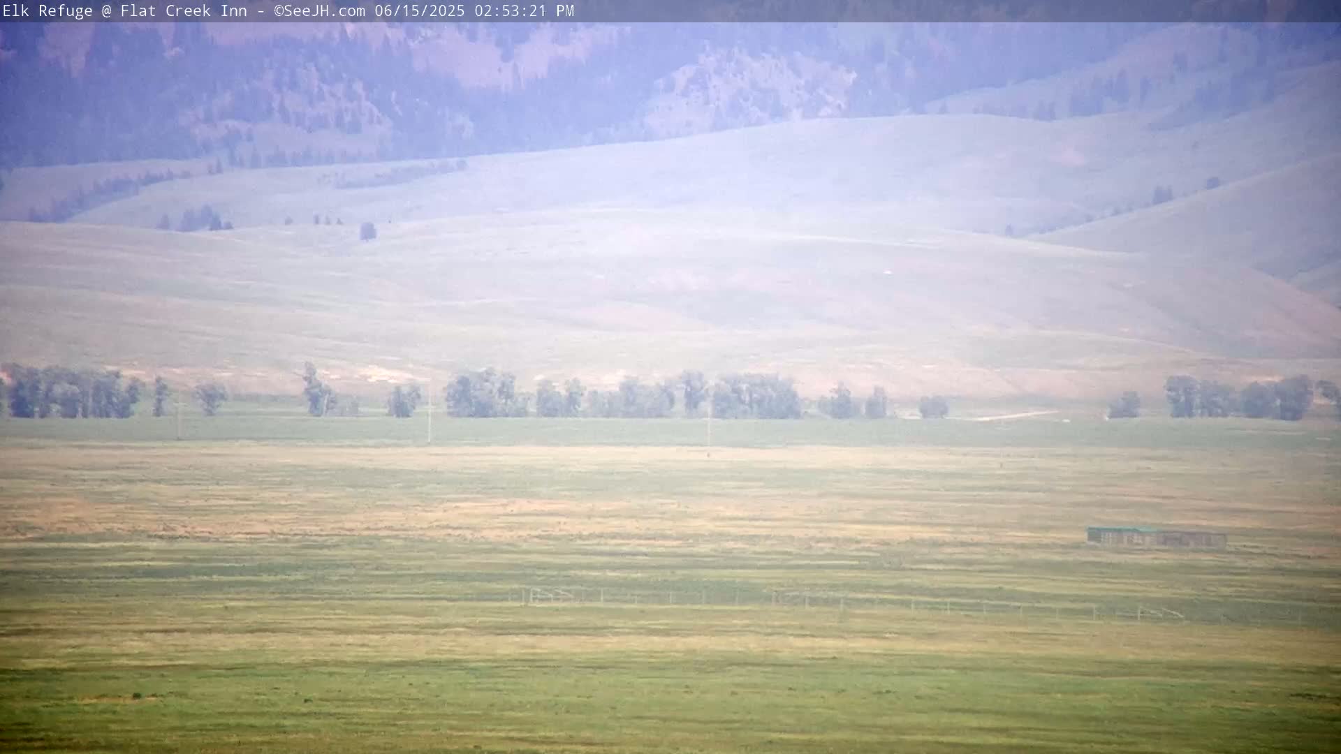 Jackson, Elk Refuge & Teton Mountains from Flat Creek Inn Live Cam - Jackson, Teton, Wyoming, USA