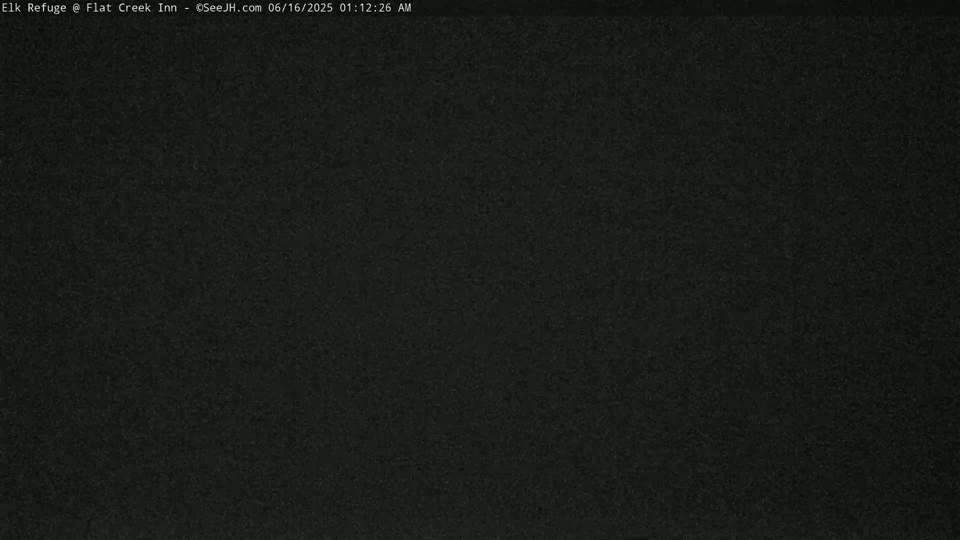 A uniformly dark, grainy image suggests a nighttime or low-light outdoor scene with poor visibility.
