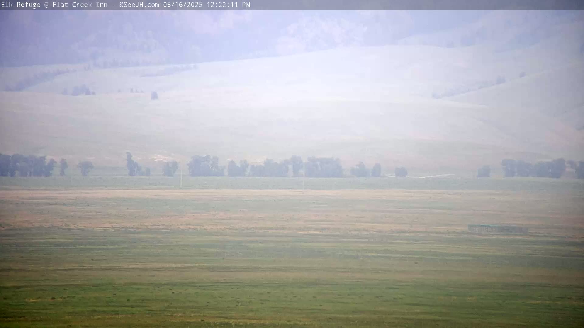 A hazy, long shot shows a vast, flat expanse of grasslands under a misty sky, with a line of trees in the middle distance and rolling hills in the background.