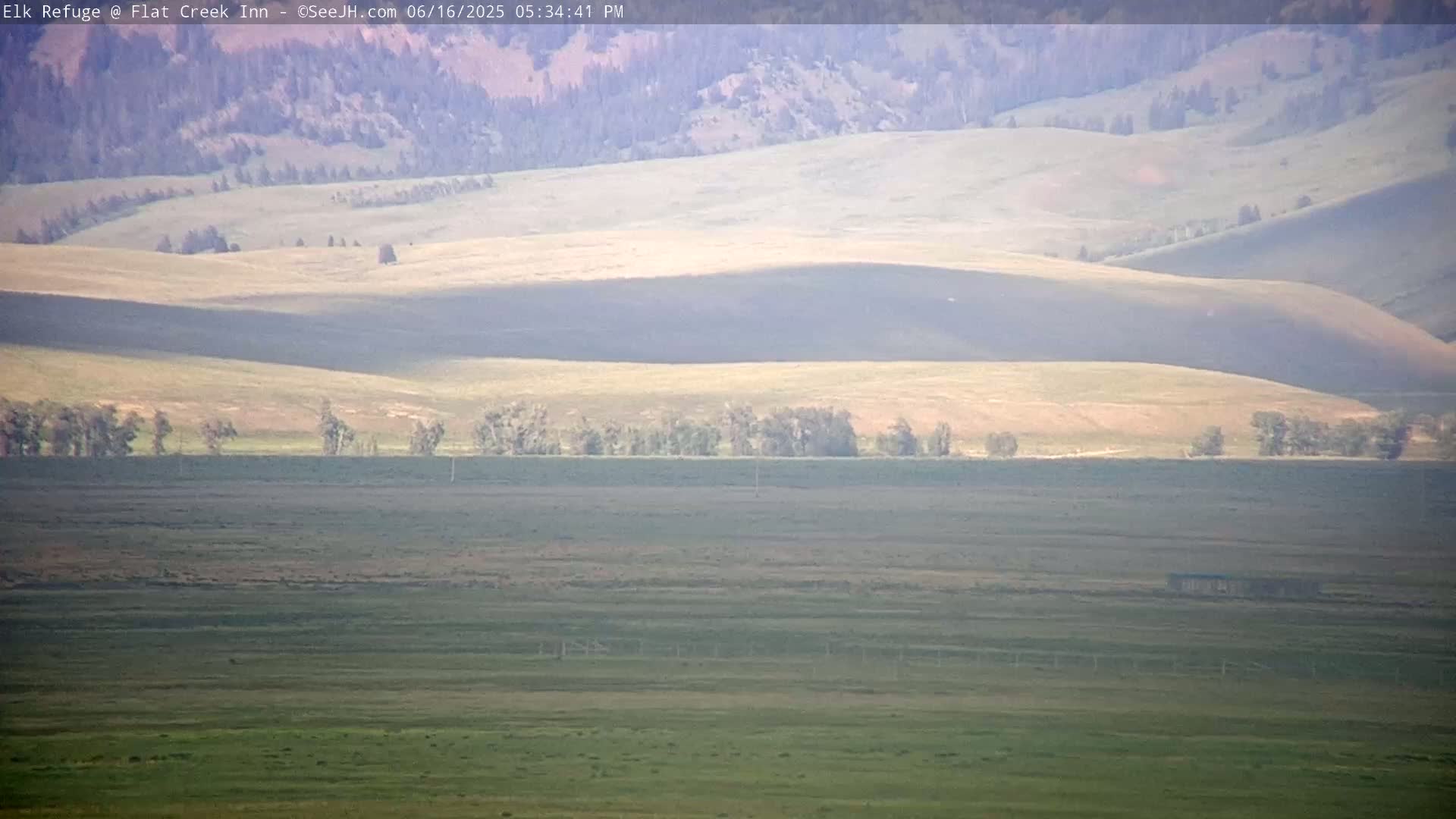 Jackson, Elk Refuge & Teton Mountains from Flat Creek Inn Live Cam - Jackson, Teton, Wyoming, USA