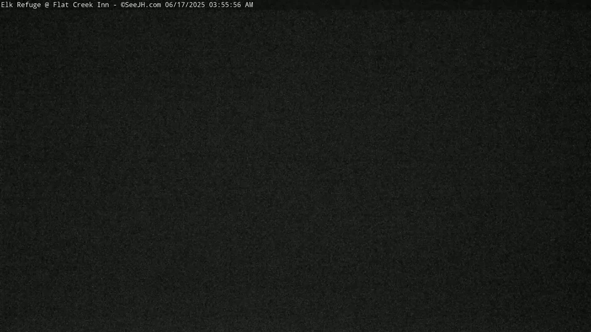 A dark, grainy image shows a completely black screen.