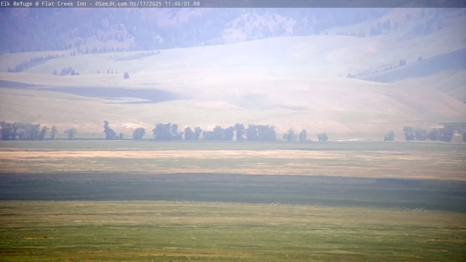 A hazy, distant view of rolling hills and a flat plain with a line of trees in the midground.