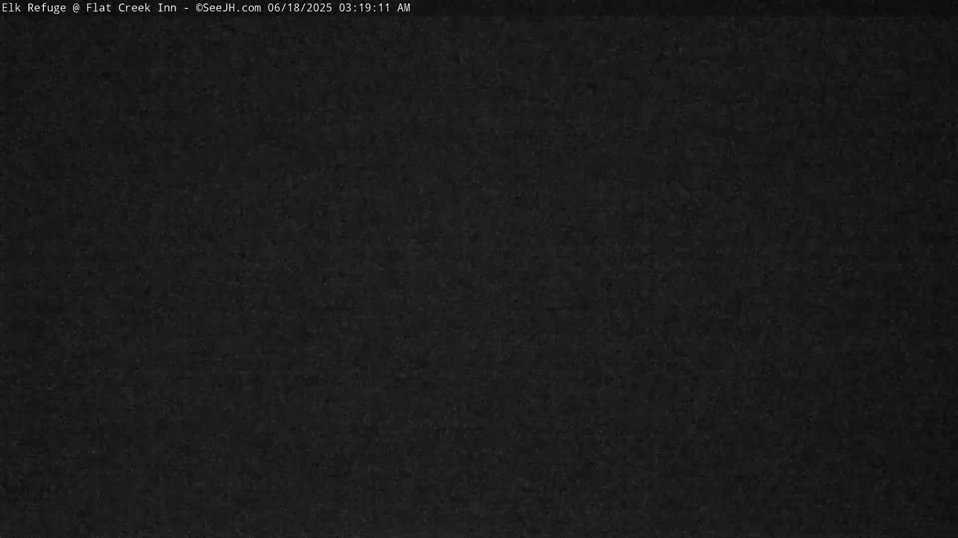 The image shows a solid dark gray or black background with a slightly grainy texture.