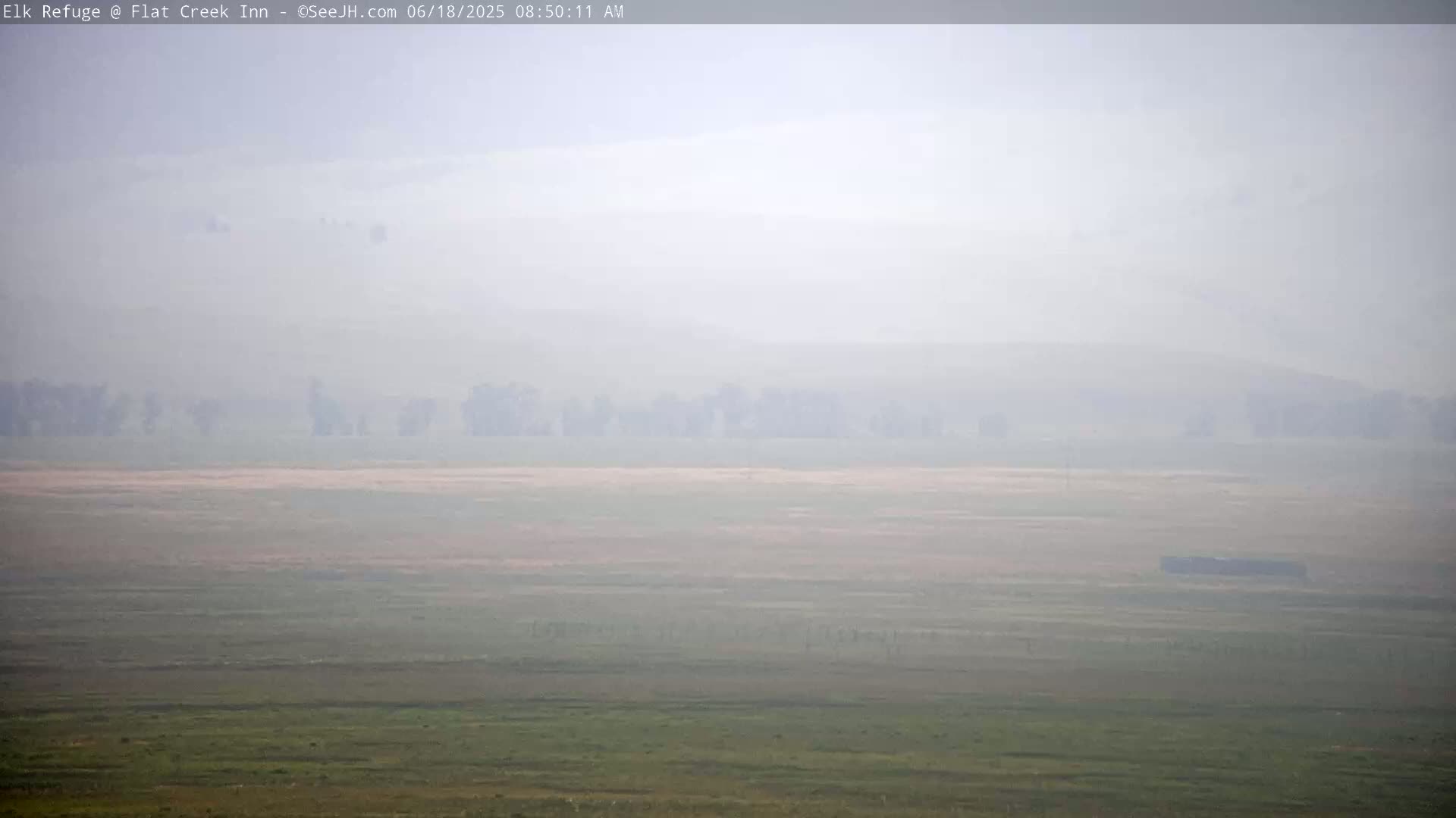 A hazy, foggy landscape shows a flat expanse of land with a line of trees in the midground and a few more distant hills under an overcast sky.