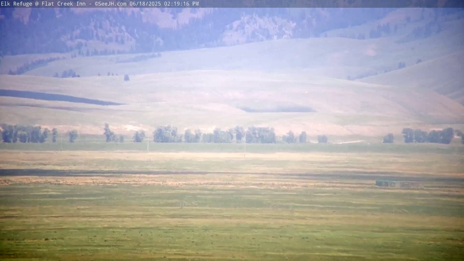 Jackson, Elk Refuge & Teton Mountains from Flat Creek Inn Live Cam - Jackson, Teton, Wyoming, USA