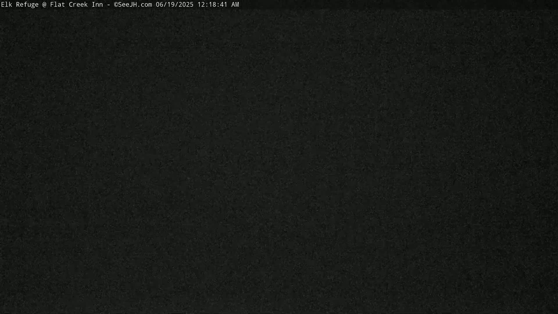 Jackson, Elk Refuge & Teton Mountains from Flat Creek Inn Live Cam - Jackson, Teton, Wyoming, USA