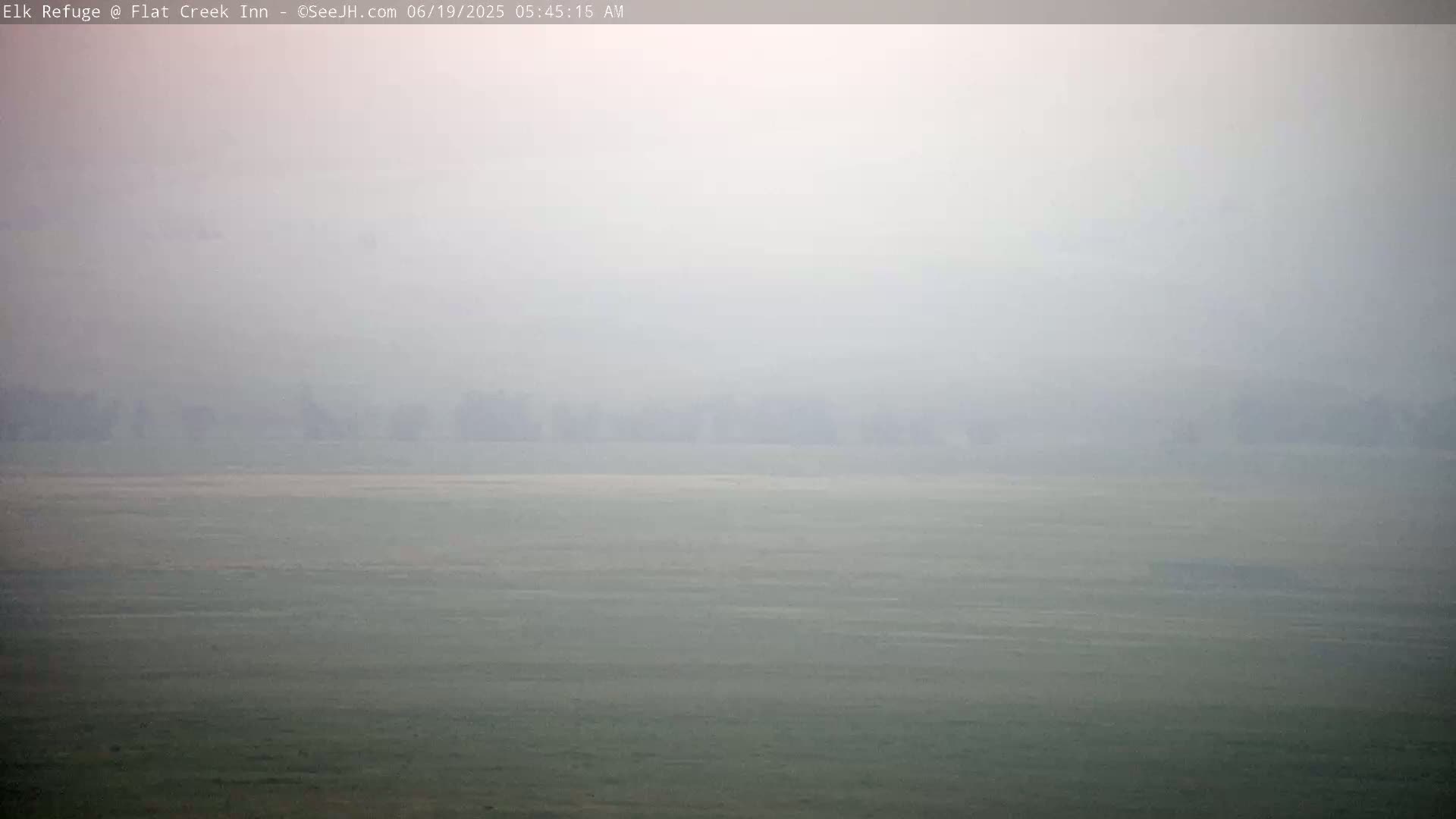 A flat, hazy landscape is visible through a thick fog.
