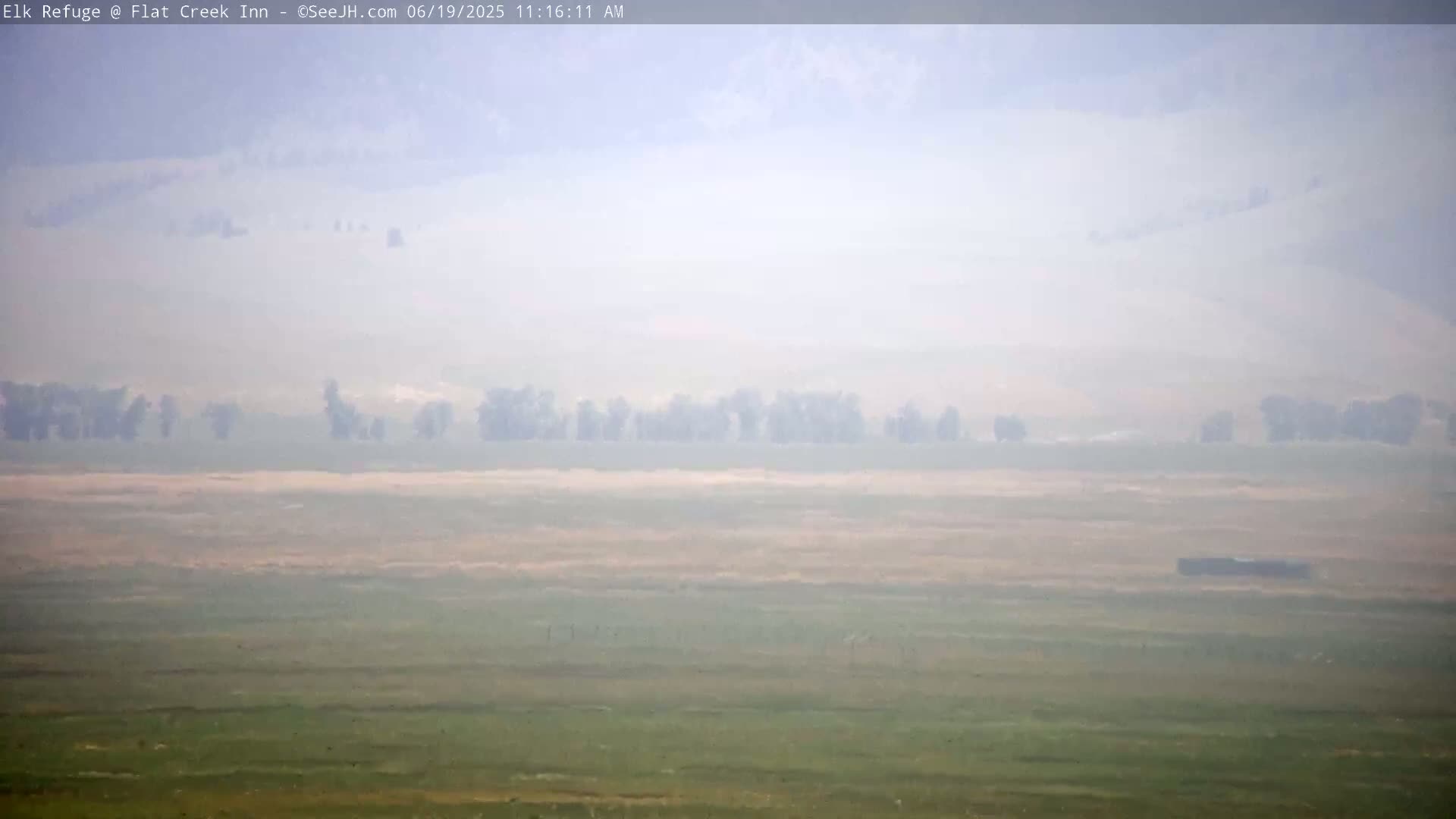 A hazy, smoggy landscape shows a flat expanse of muted green and tan fields with a line of dark trees in the midground.