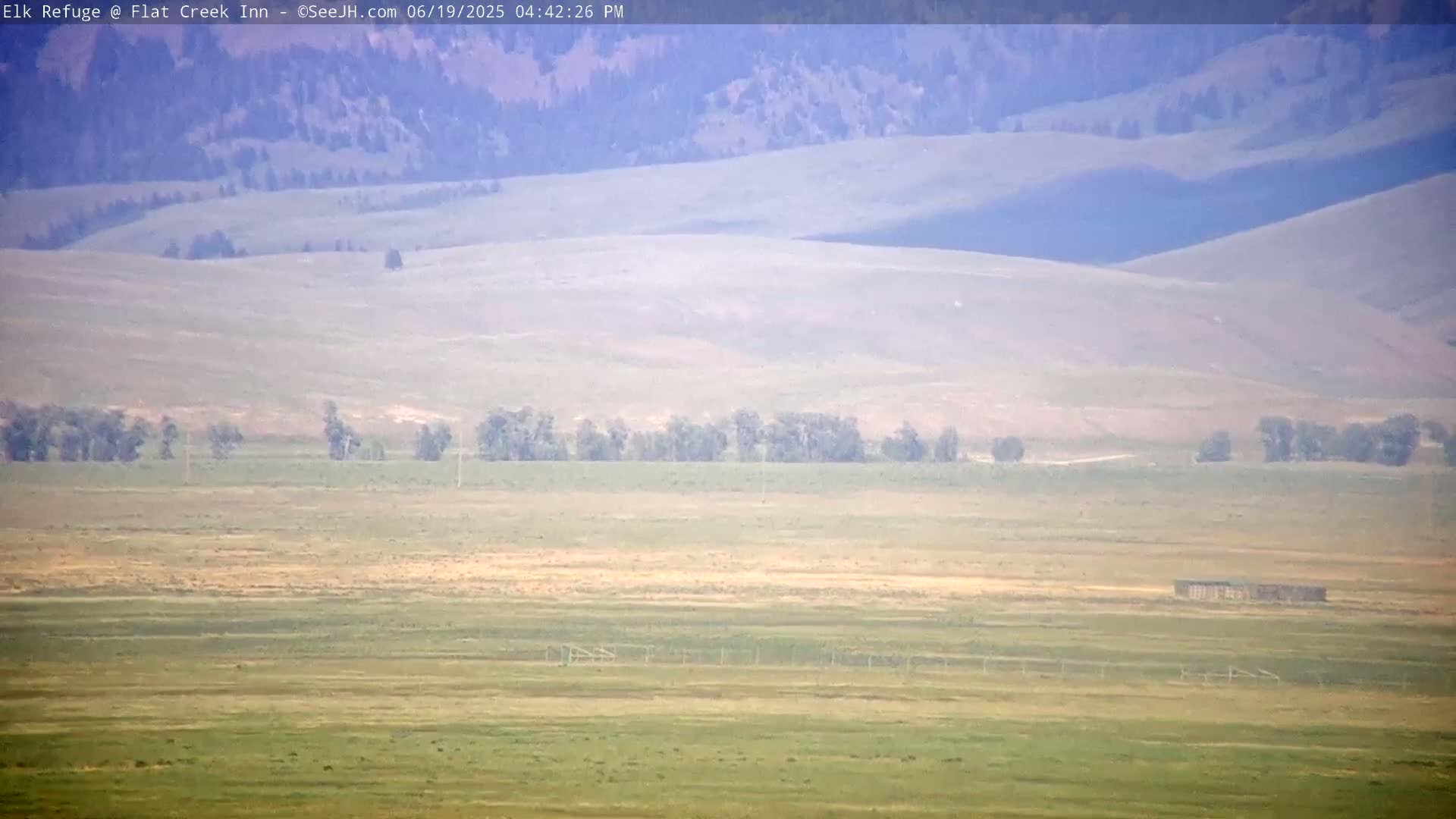 Jackson, Elk Refuge & Teton Mountains from Flat Creek Inn Live Cam - Jackson, Teton, Wyoming, USA