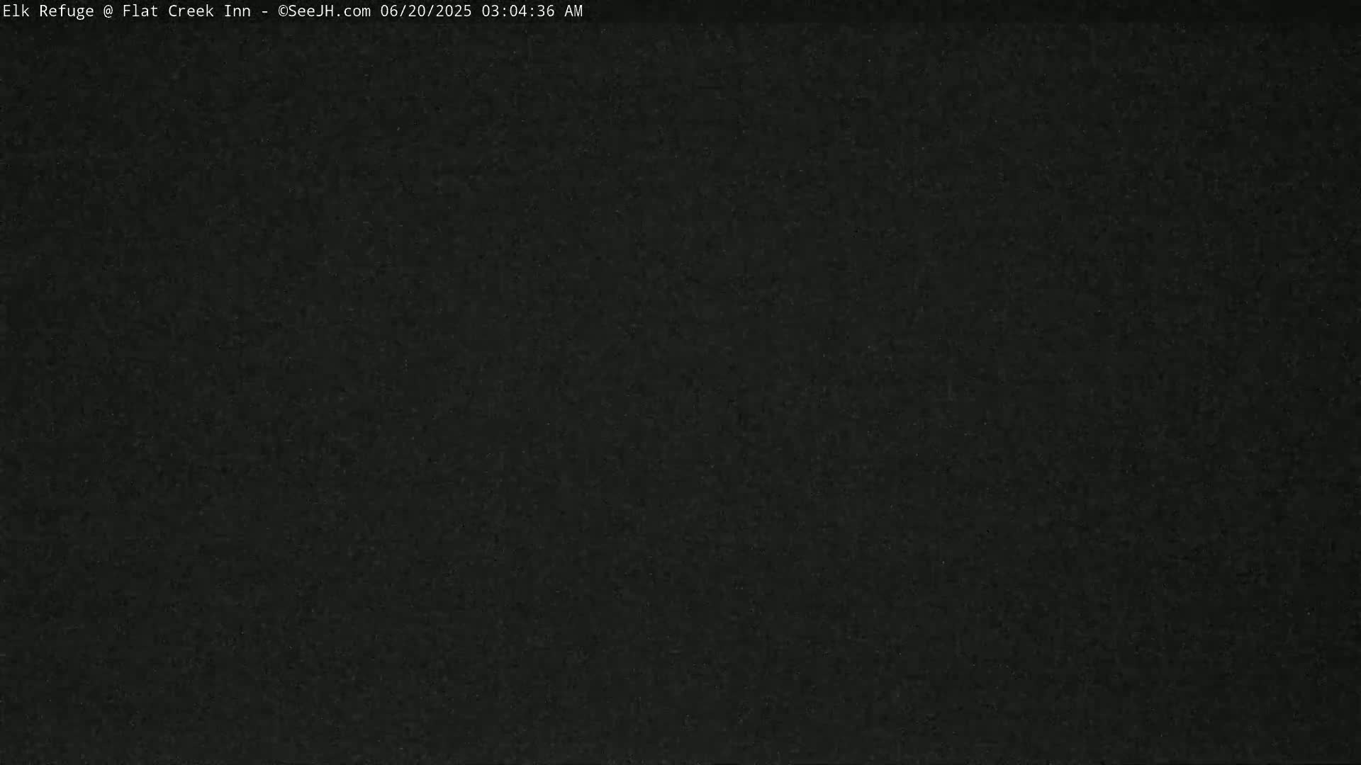 A completely dark image shows only a solid black texture.