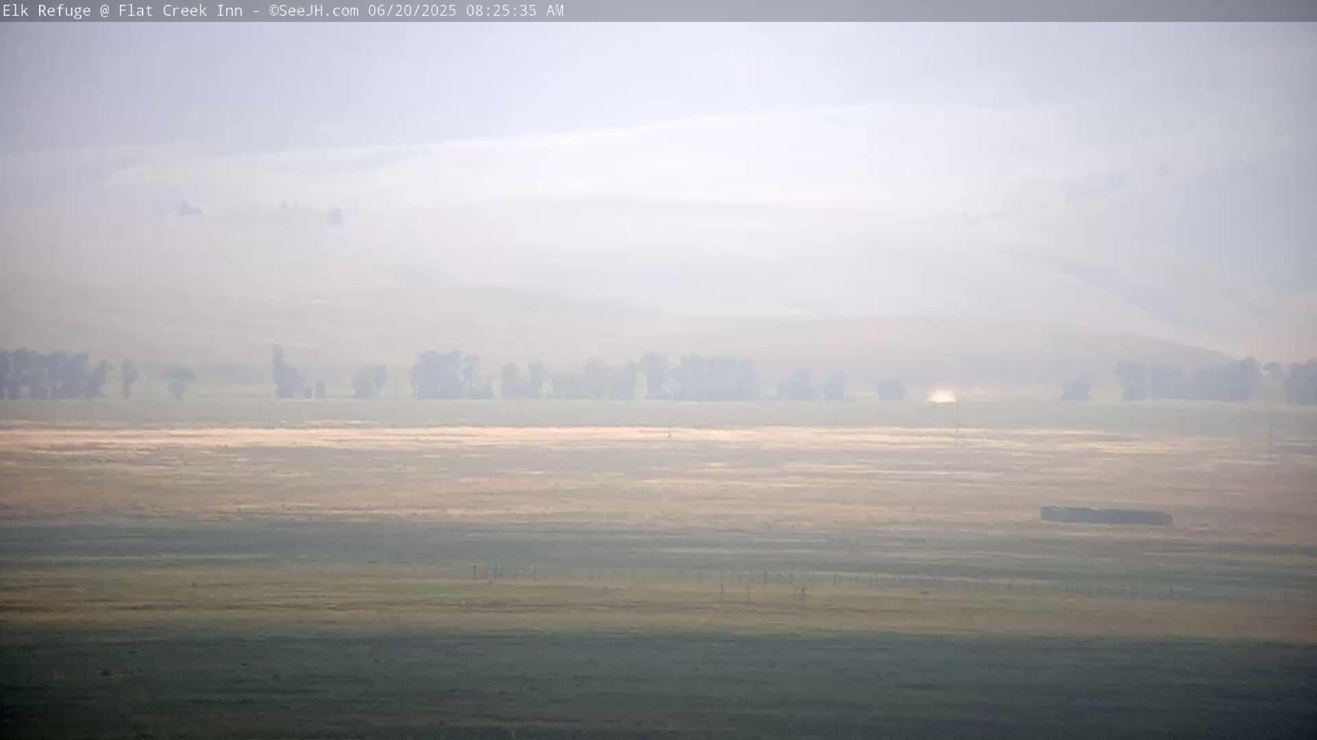 A hazy, flat landscape with sparse trees and a single dark structure is visible under a pale sky.