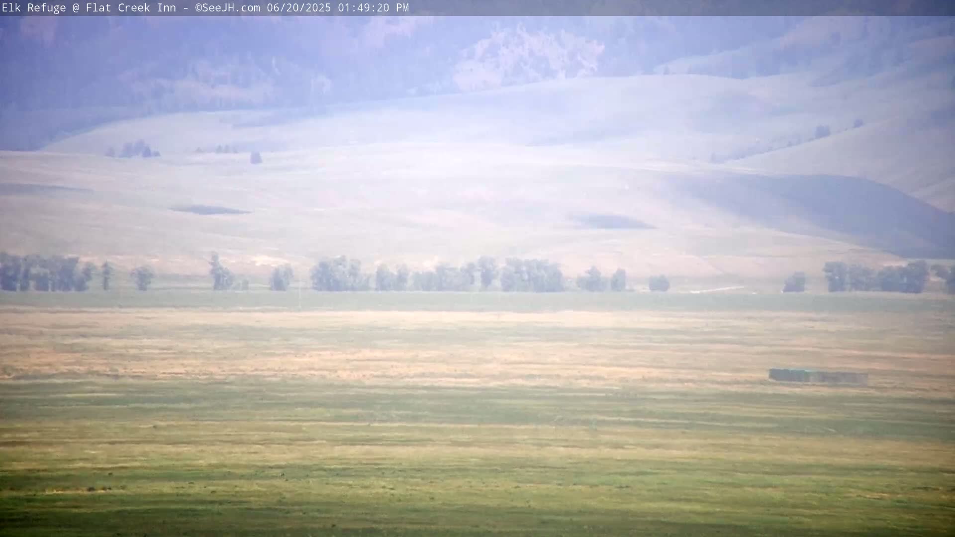 Jackson, Elk Refuge & Teton Mountains from Flat Creek Inn Live Cam - Jackson, Teton, Wyoming, USA