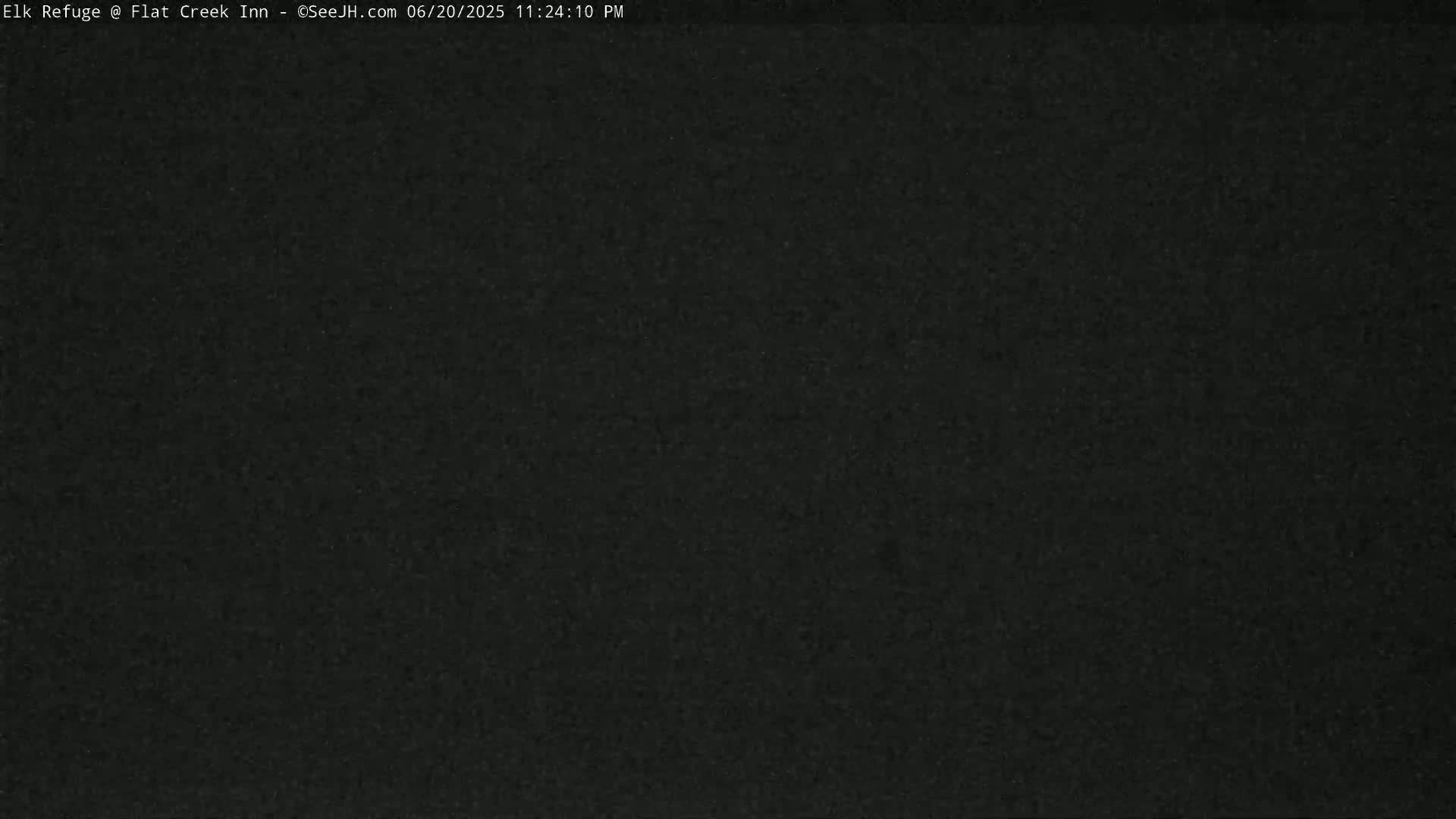Jackson, Elk Refuge & Teton Mountains from Flat Creek Inn Live Cam - Jackson, Teton, Wyoming, USA