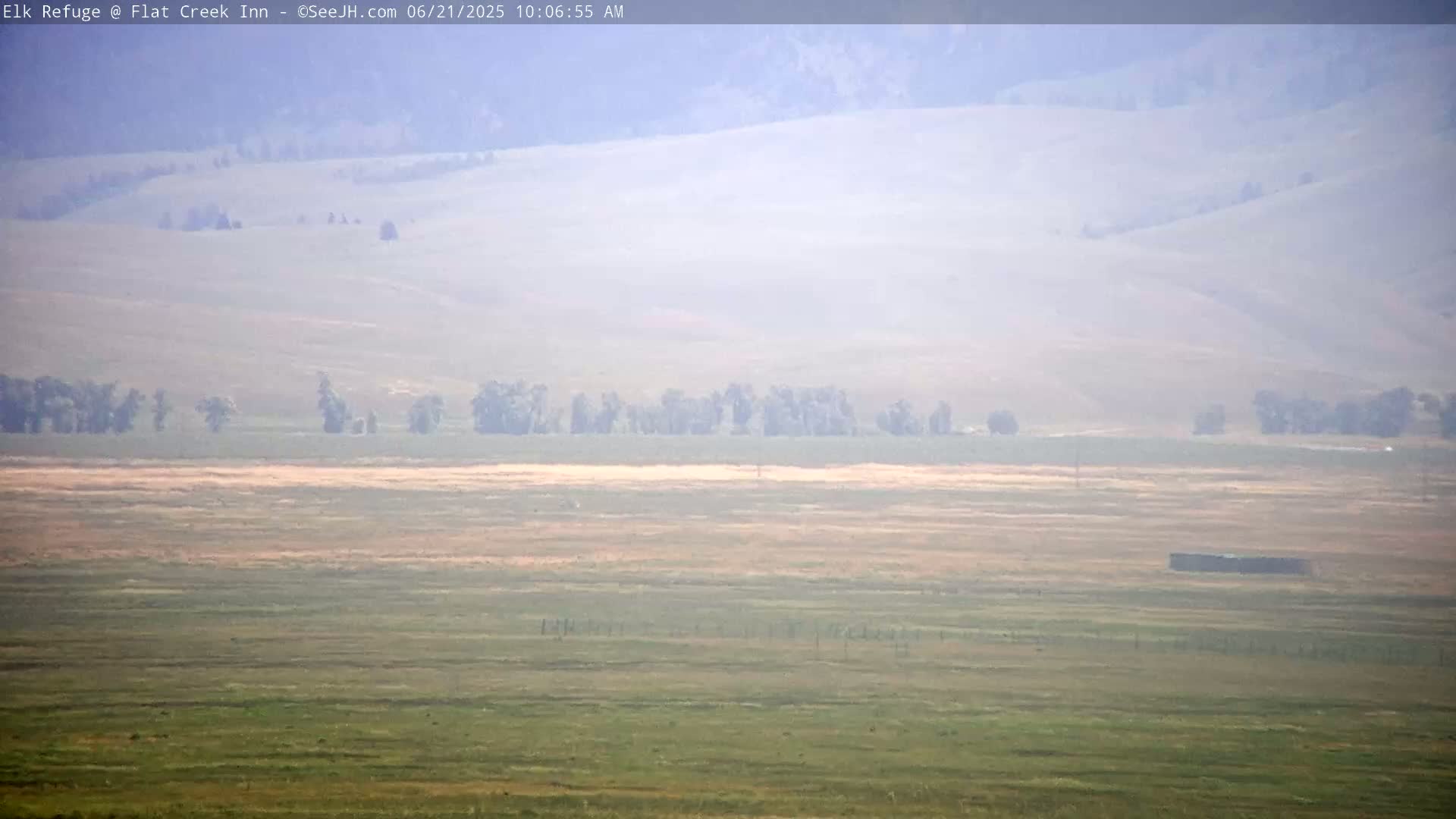 A hazy view of a vast, flat grassland with scattered trees and distant hills under a foggy sky.