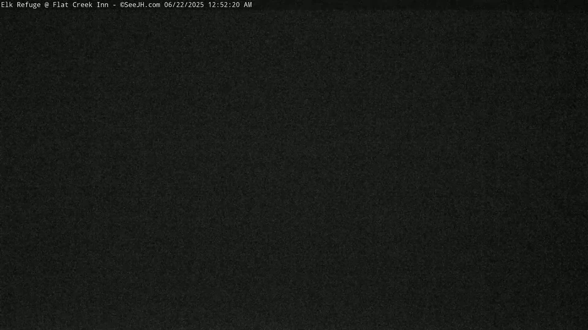Jackson, Elk Refuge & Teton Mountains from Flat Creek Inn Live Cam - Jackson, Teton, Wyoming, USA