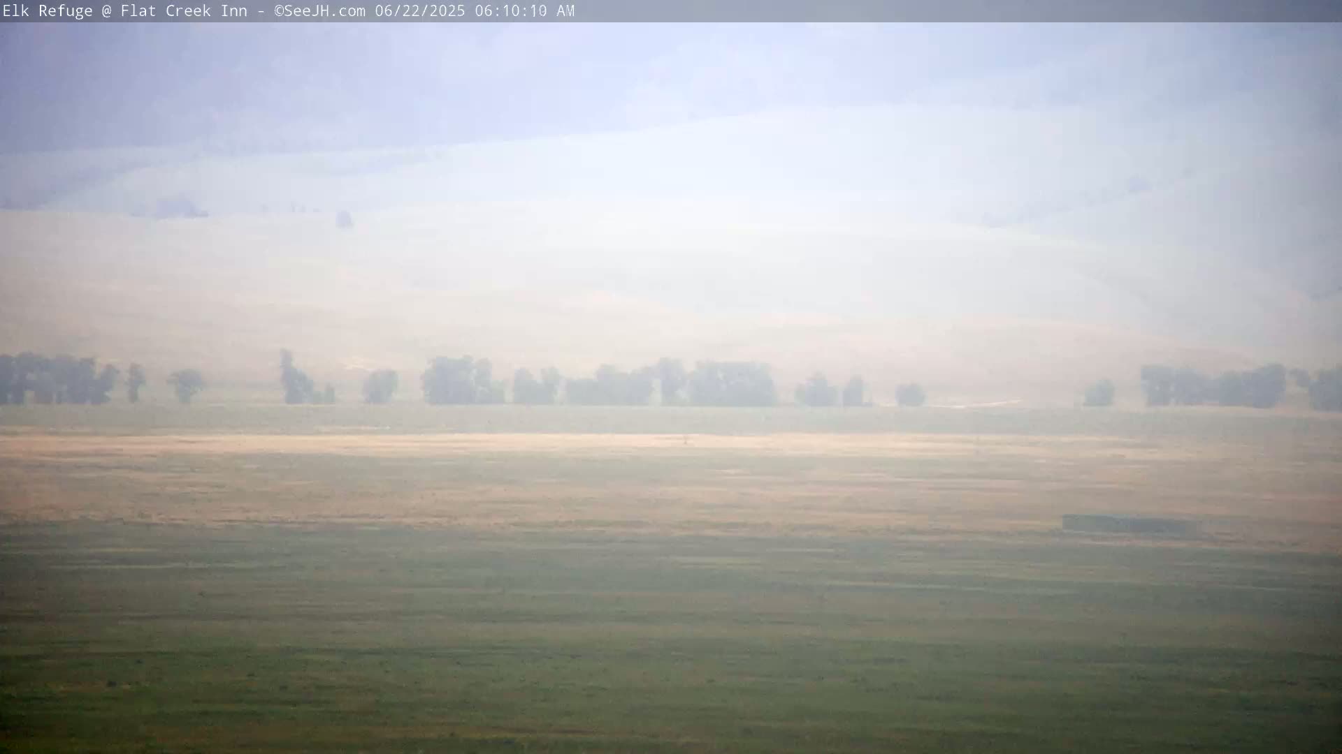 A hazy, flat landscape stretches out, featuring a line of trees in the middle distance and a mostly green, grassy foreground.