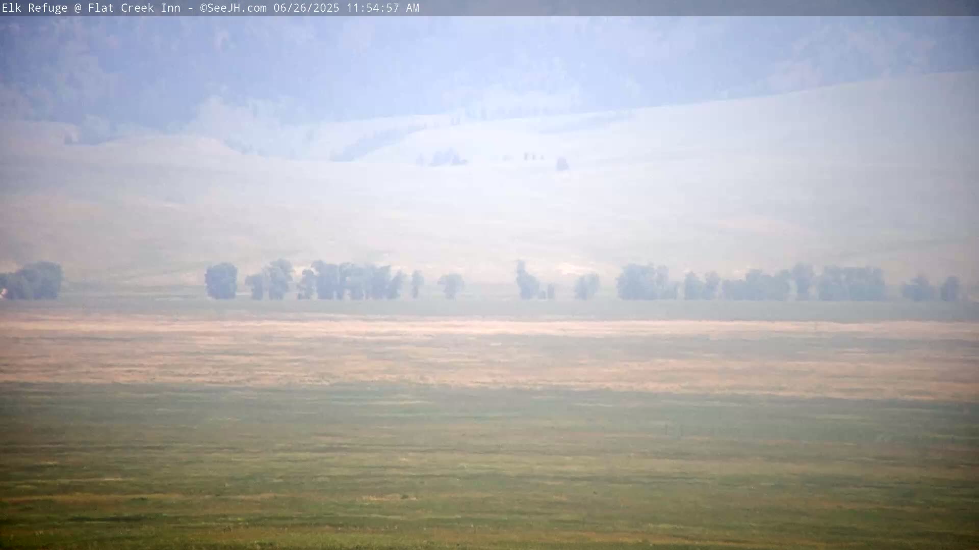 Jackson, Elk Refuge & Teton Mountains from Flat Creek Inn Live Cam - Jackson, Teton, Wyoming, USA
