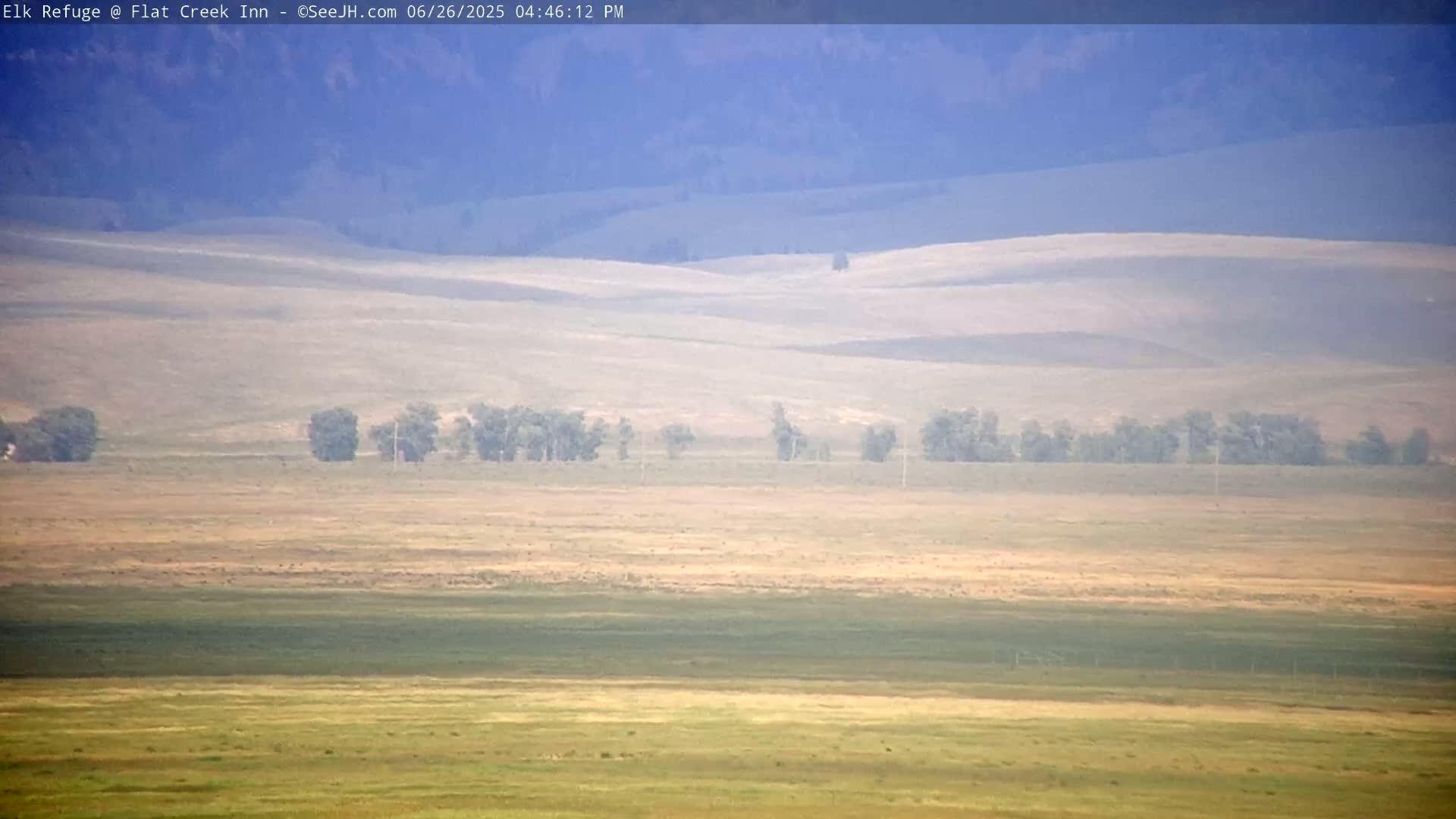 Jackson, Elk Refuge & Teton Mountains from Flat Creek Inn Live Cam - Jackson, Teton, Wyoming, USA