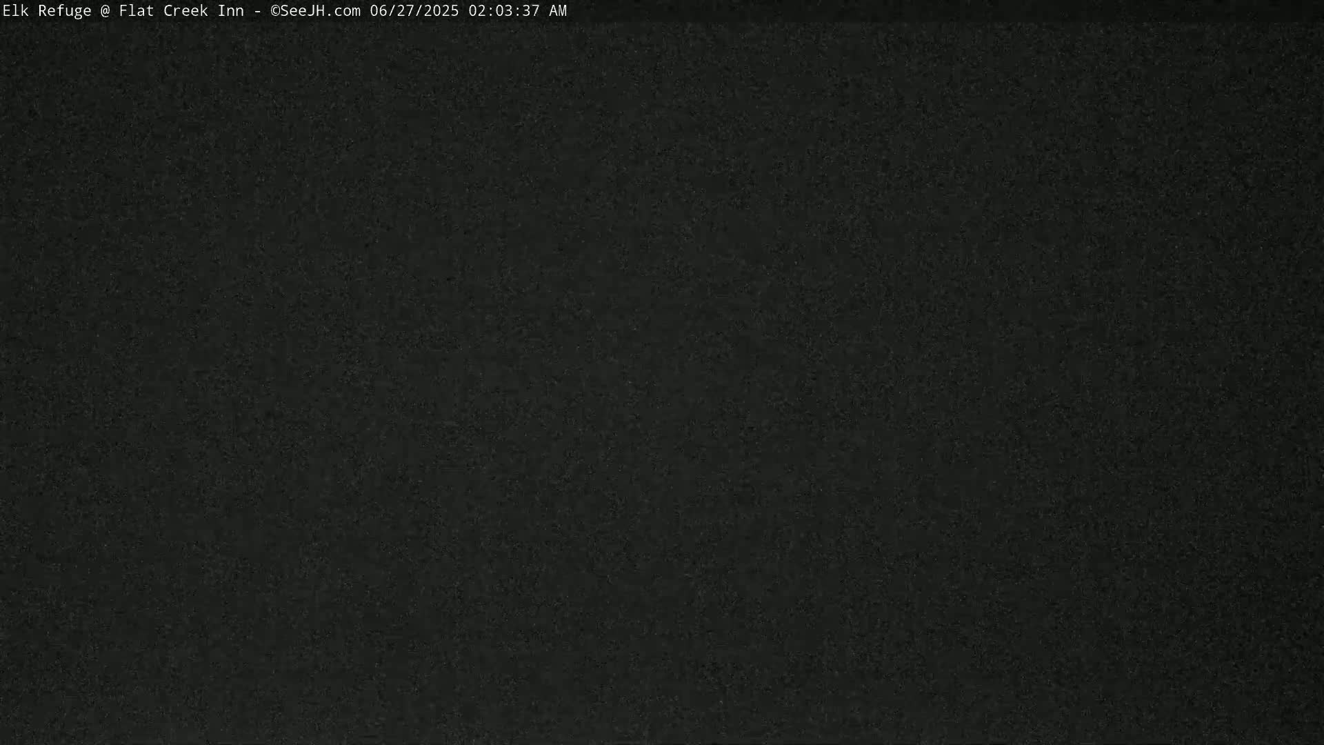 The image shows a completely dark, grainy view.