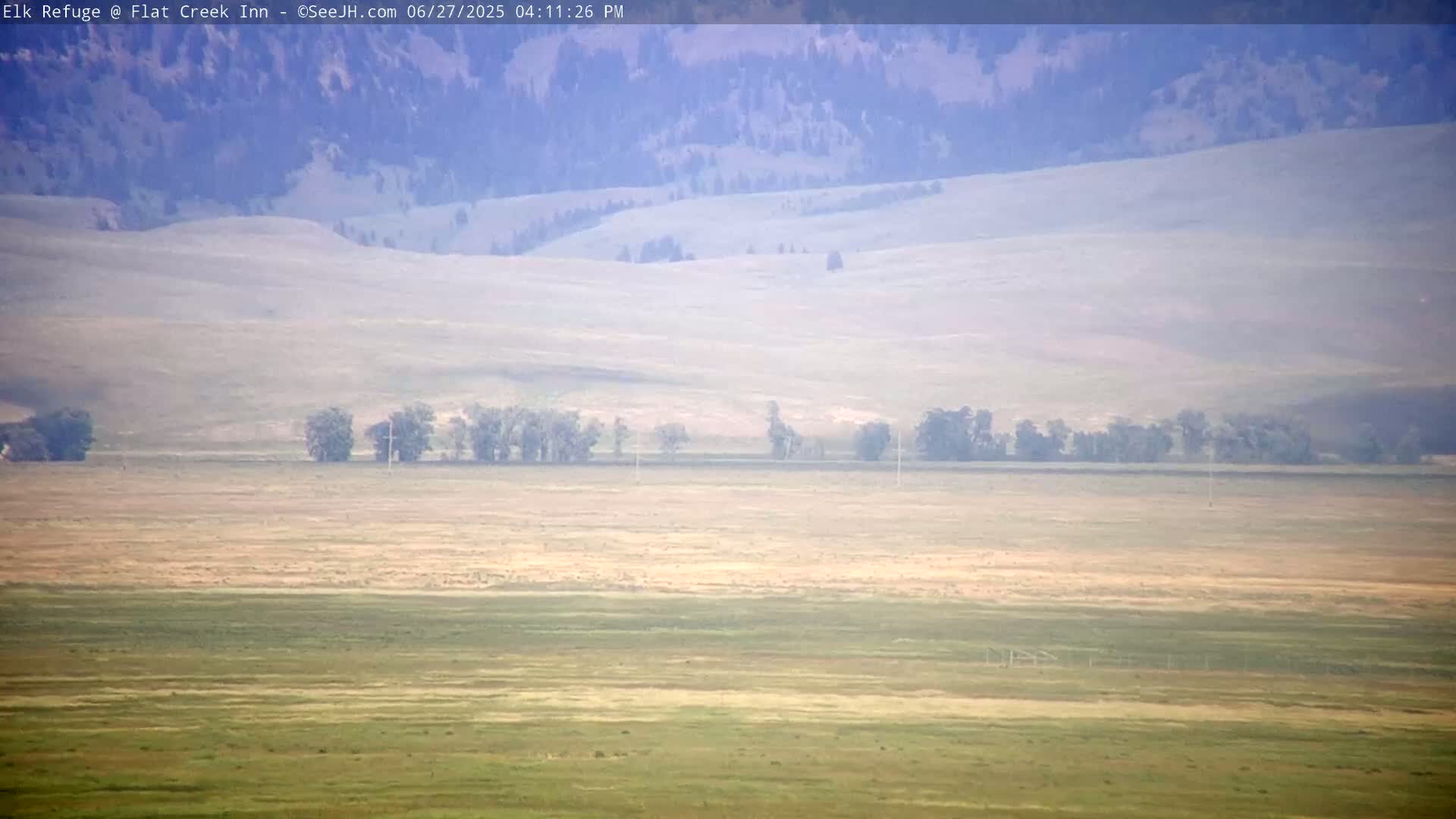 Jackson, Elk Refuge & Teton Mountains from Flat Creek Inn Live Cam - Jackson, Teton, Wyoming, USA