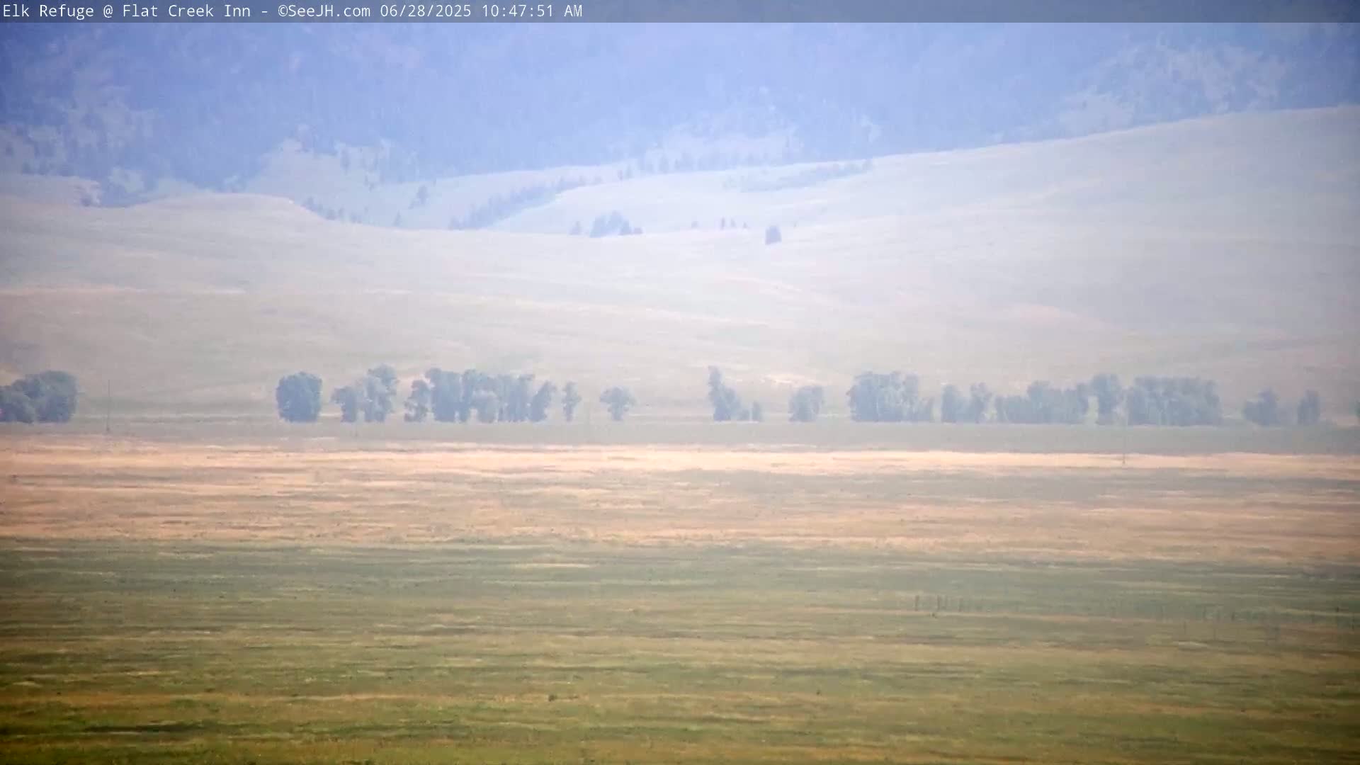 Jackson, Elk Refuge & Teton Mountains from Flat Creek Inn Live Cam - Jackson, Teton, Wyoming, USA