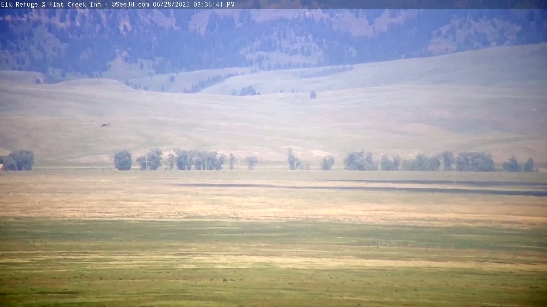 Jackson, Elk Refuge & Teton Mountains from Flat Creek Inn Live Cam - Jackson, Teton, Wyoming, USA