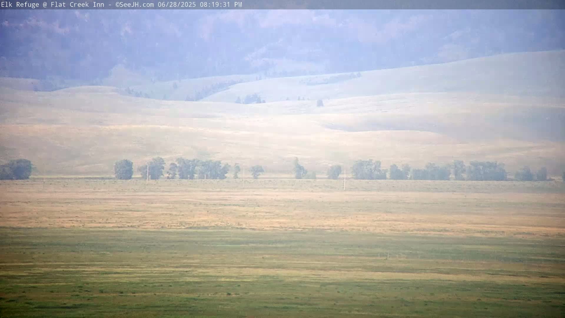 Jackson, Elk Refuge & Teton Mountains from Flat Creek Inn Live Cam - Jackson, Teton, Wyoming, USA