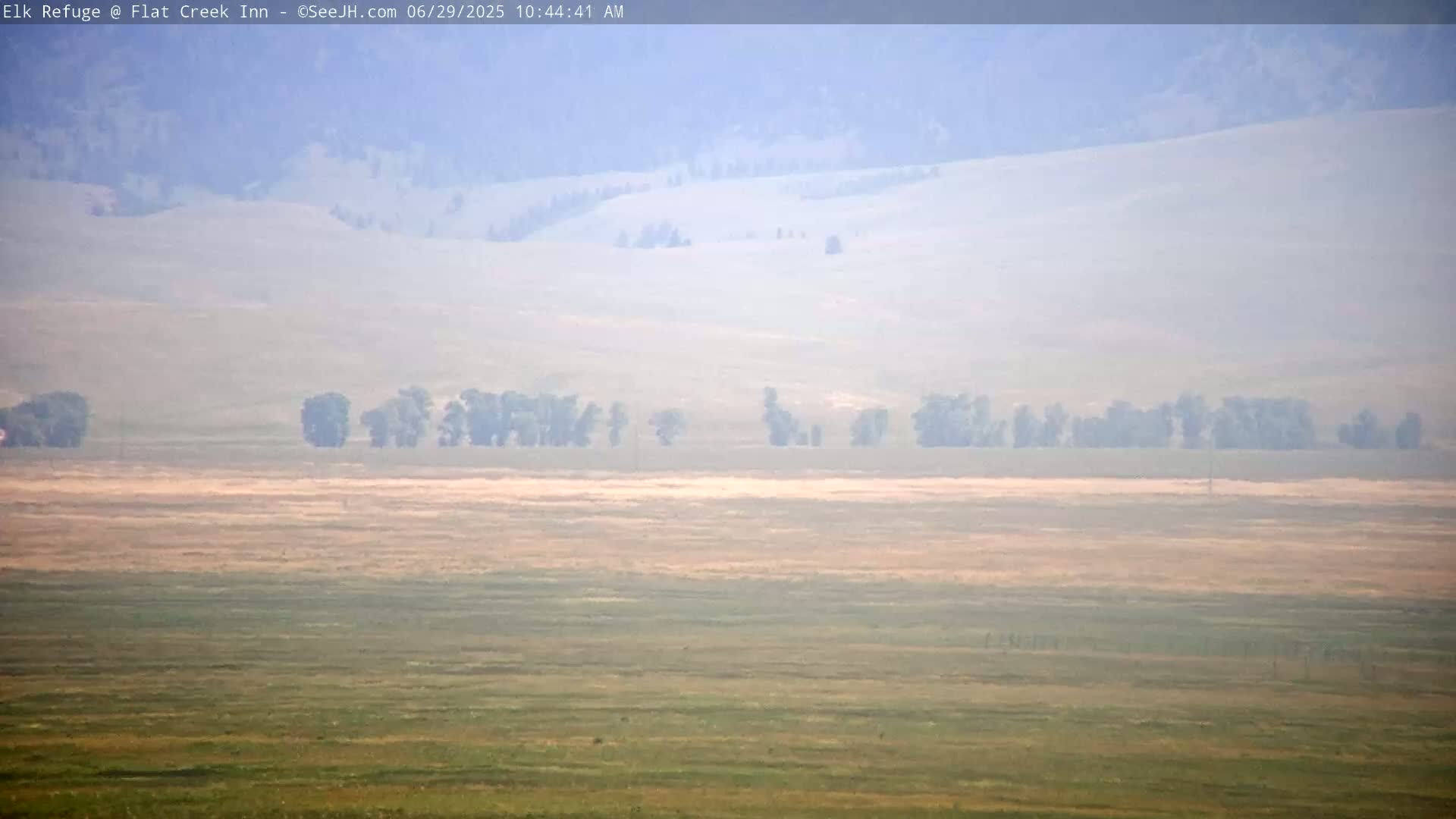 Jackson, Elk Refuge & Teton Mountains from Flat Creek Inn Live Cam - Jackson, Teton, Wyoming, USA