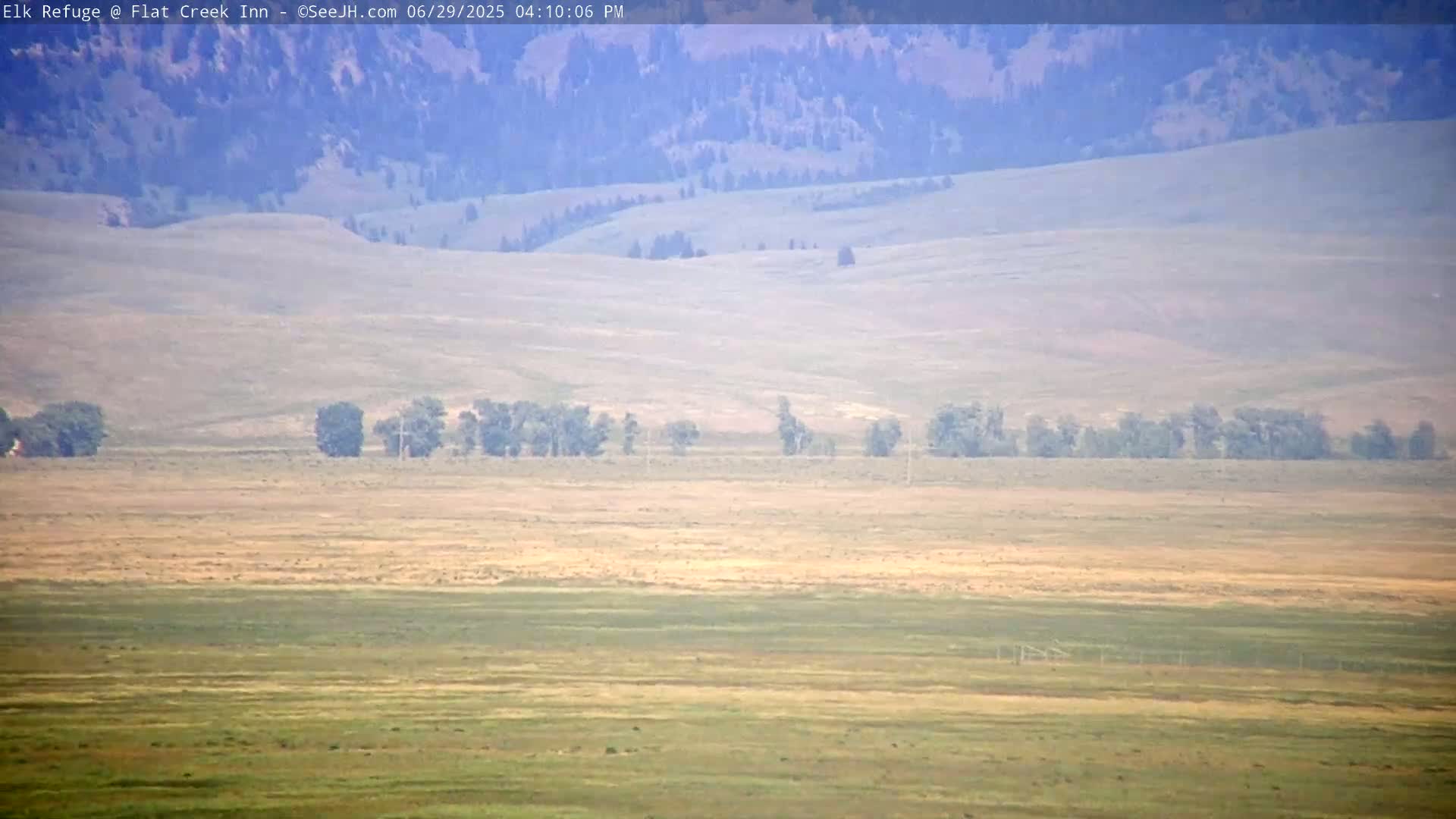 Jackson, Elk Refuge & Teton Mountains from Flat Creek Inn Live Cam - Jackson, Teton, Wyoming, USA
