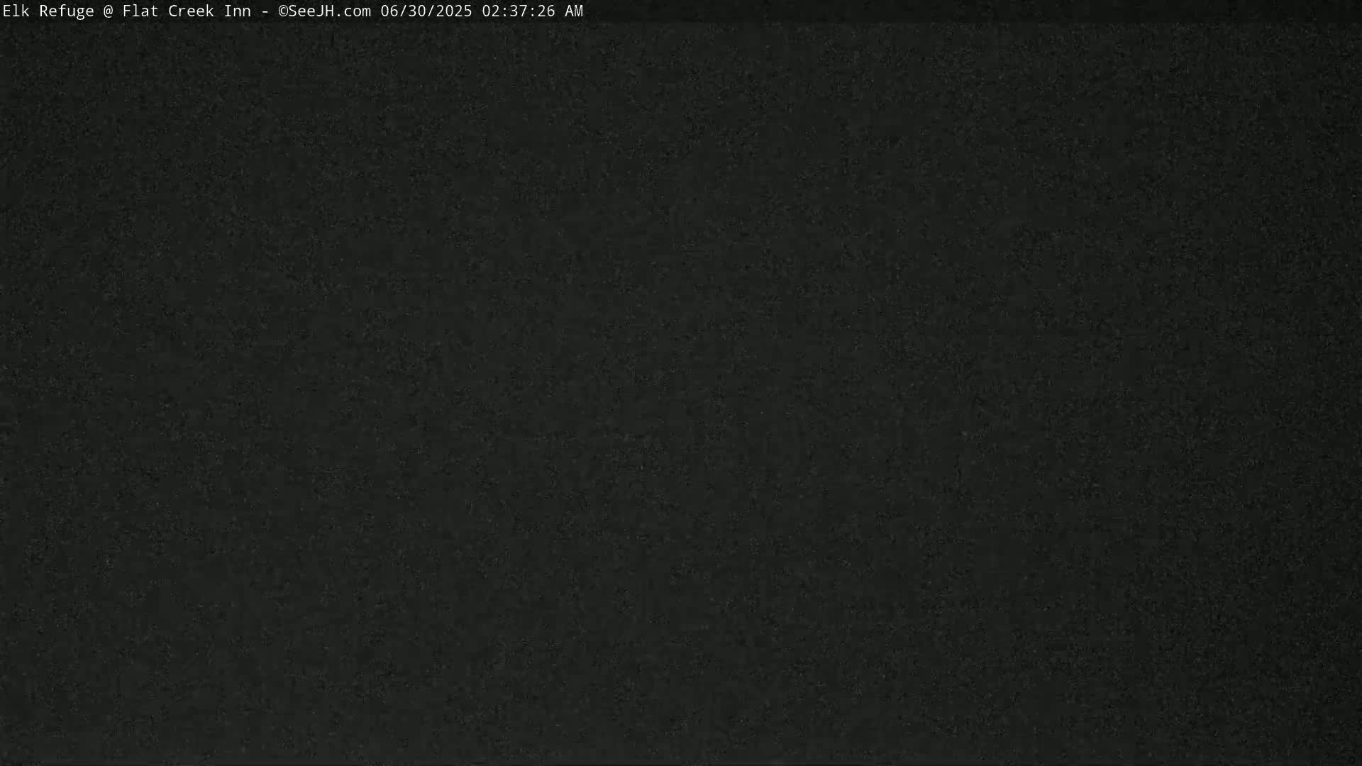 Jackson, Elk Refuge & Teton Mountains from Flat Creek Inn Live Cam - Jackson, Teton, Wyoming, USA