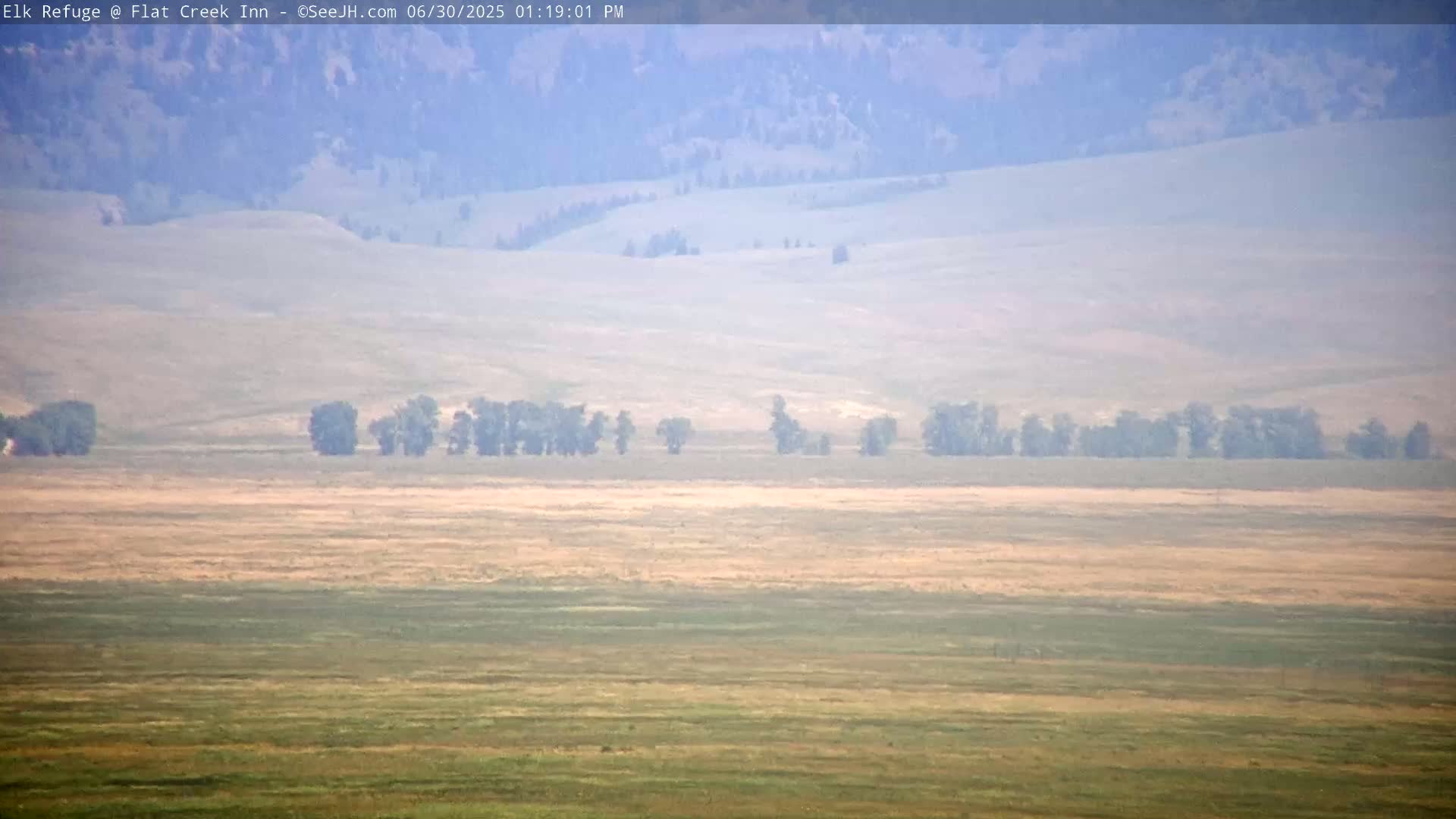 Jackson, Elk Refuge & Teton Mountains from Flat Creek Inn Live Cam - Jackson, Teton, Wyoming, USA