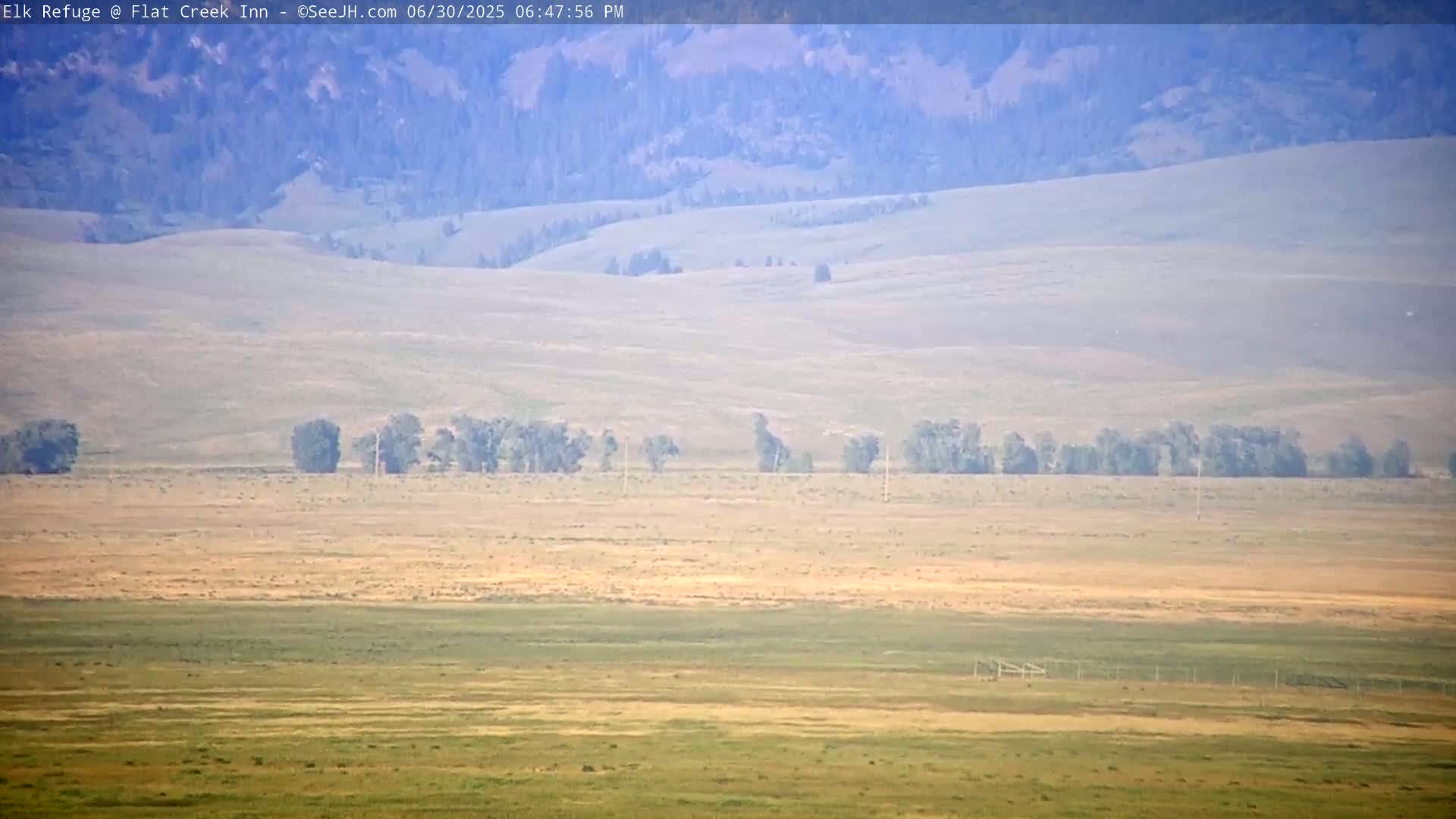 Jackson, Elk Refuge & Teton Mountains from Flat Creek Inn Live Cam - Jackson, Teton, Wyoming, USA
